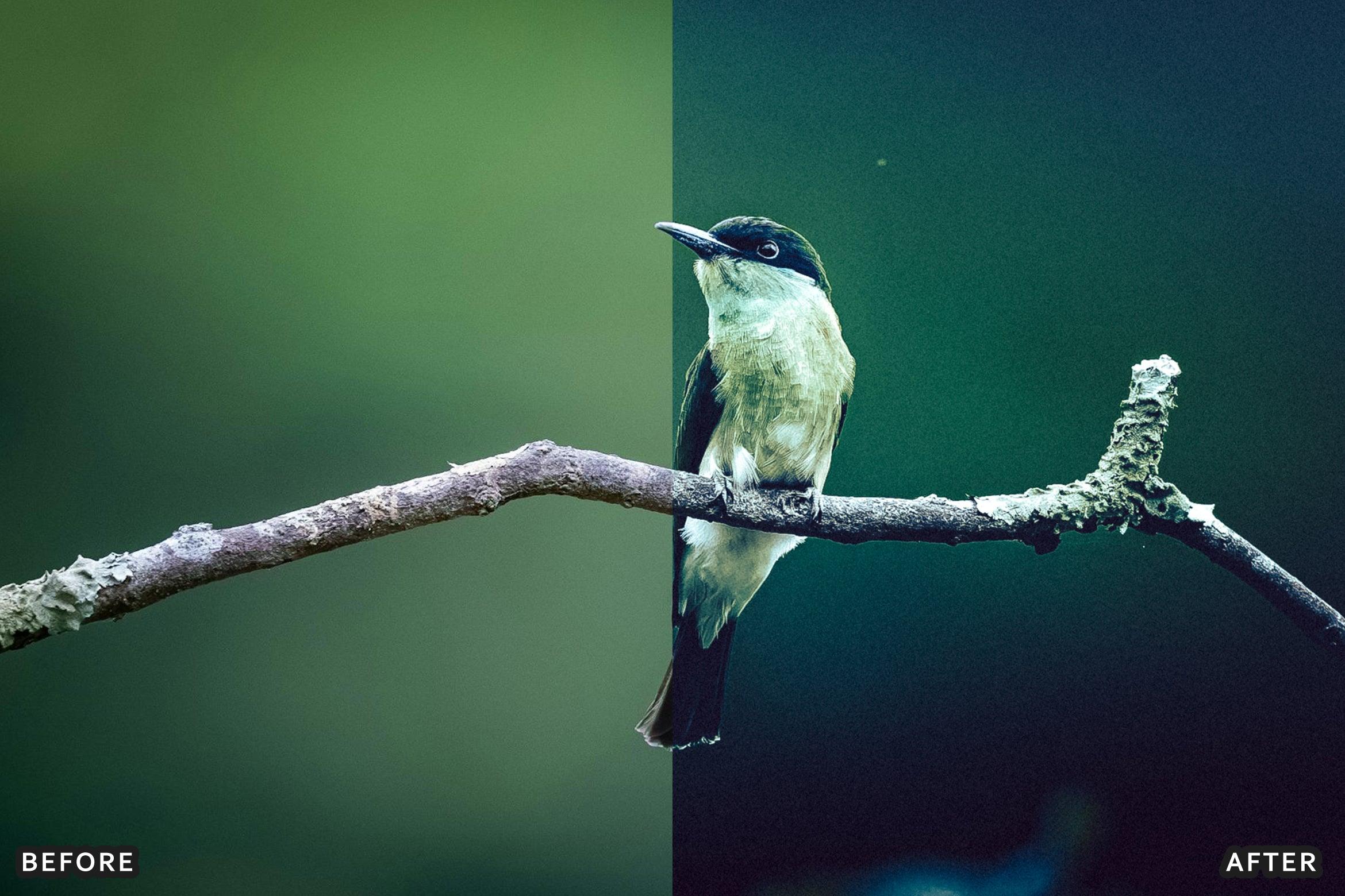 AI-Optimized Macro Photography Lightroom Presets - Lightroom Presets - by AAA Presets