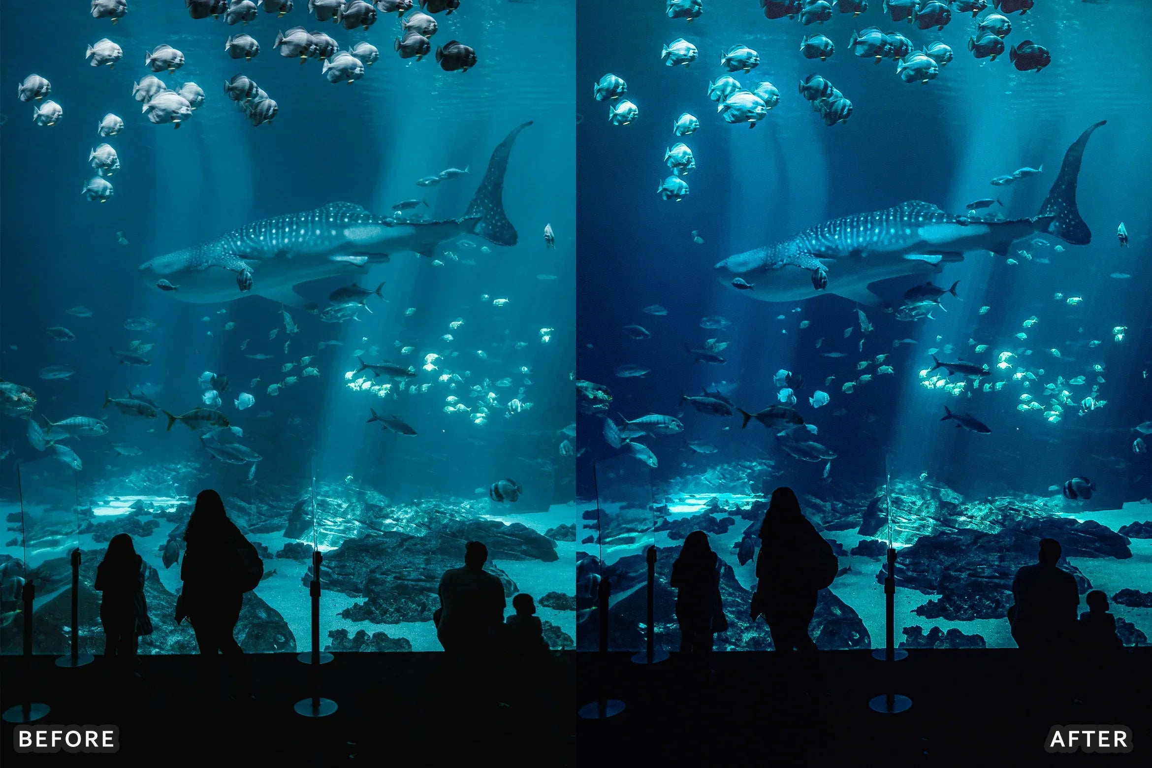 AI-Optimized Moody Underwater Lightroom Presets - Lightroom Presets - by AAA Presets