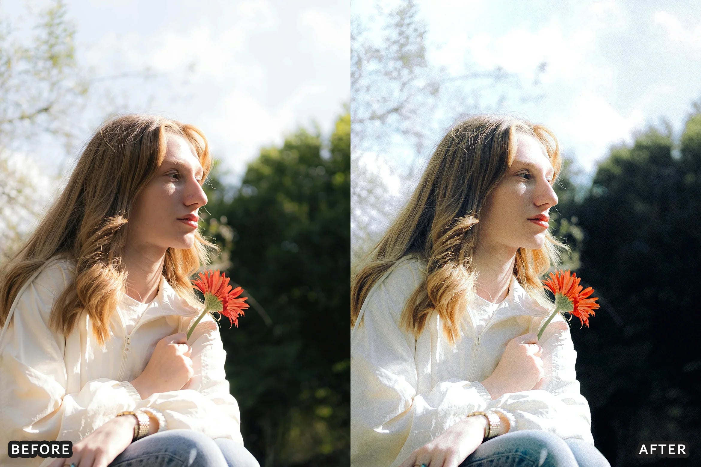 AI-Optimized Morning Garden Bright Cinematic Lightroom Presets - Lightroom Presets - by AAA Presets