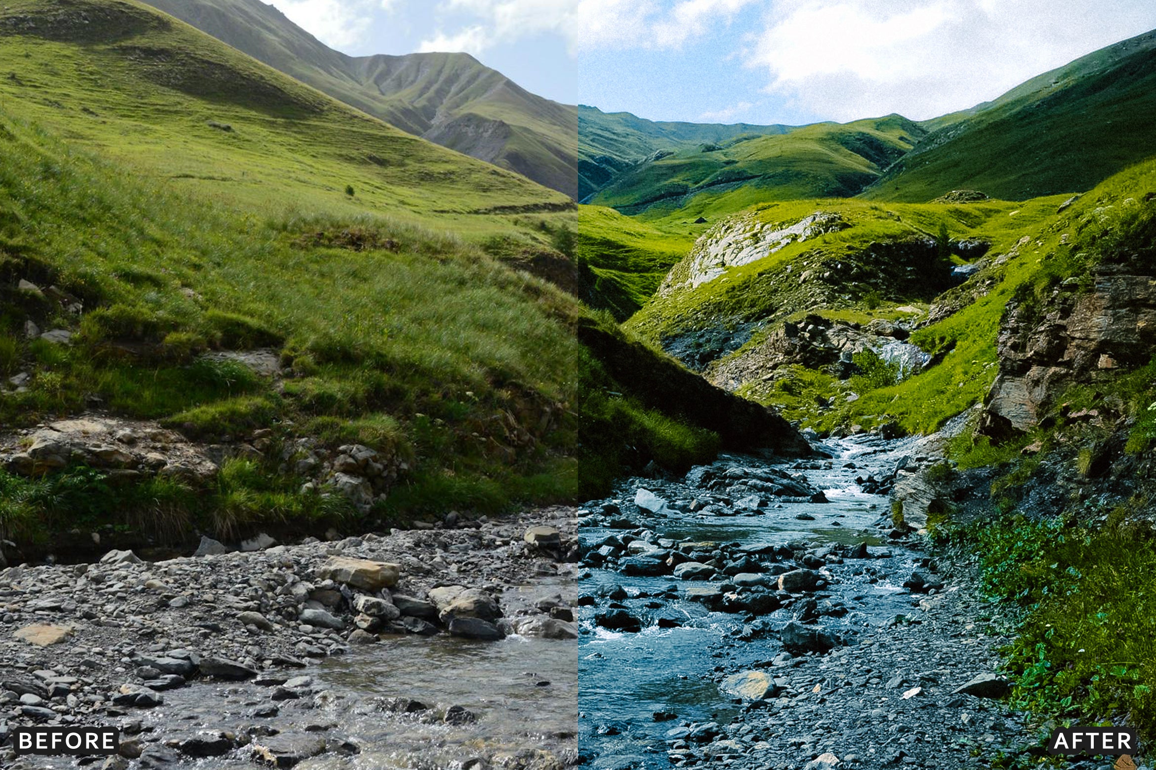 AI-Optimized Nature Forest Lightroom Presets - Lightroom Presets - by AAA Presets