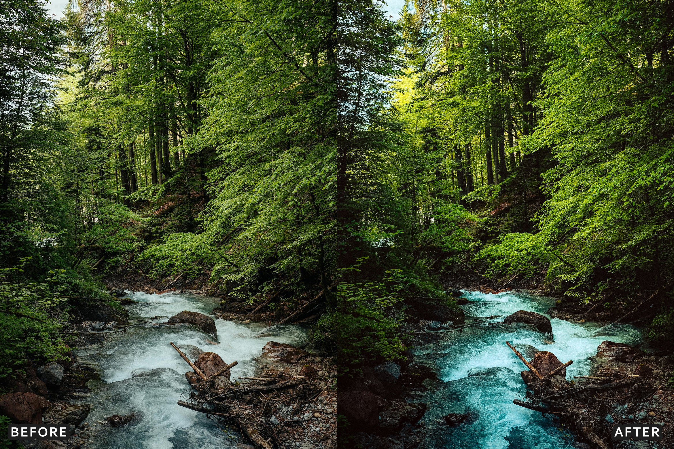 AI-Optimized Nature Forest Lightroom Presets - Lightroom Presets - by AAA Presets