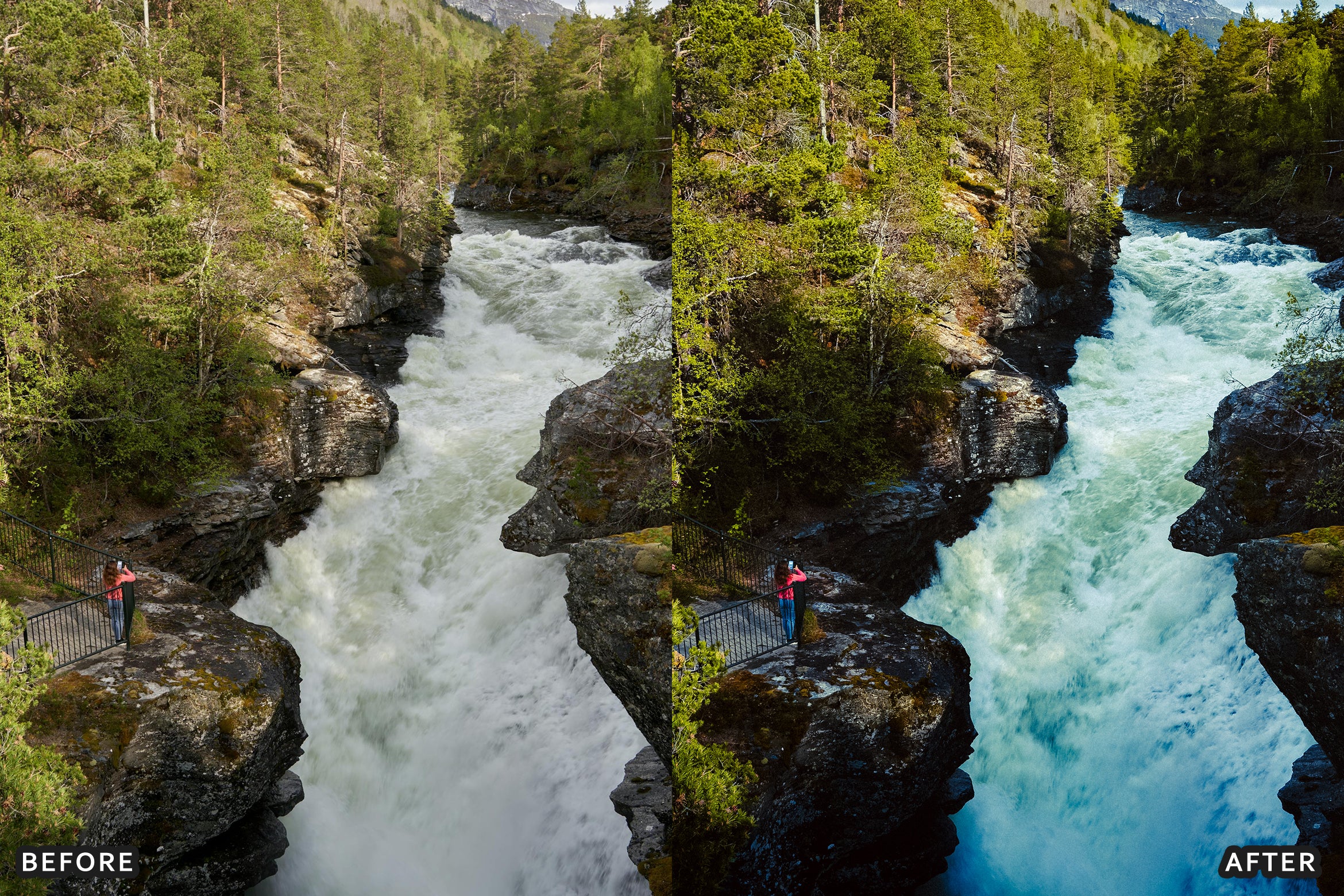 AI-Optimized Nature Forest Lightroom Presets - Lightroom Presets - by AAA Presets