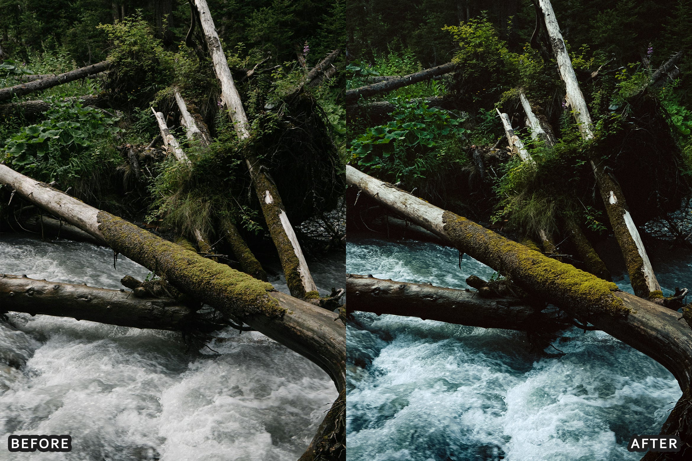 AI-Optimized Nature Forest Lightroom Presets - Lightroom Presets - by AAA Presets