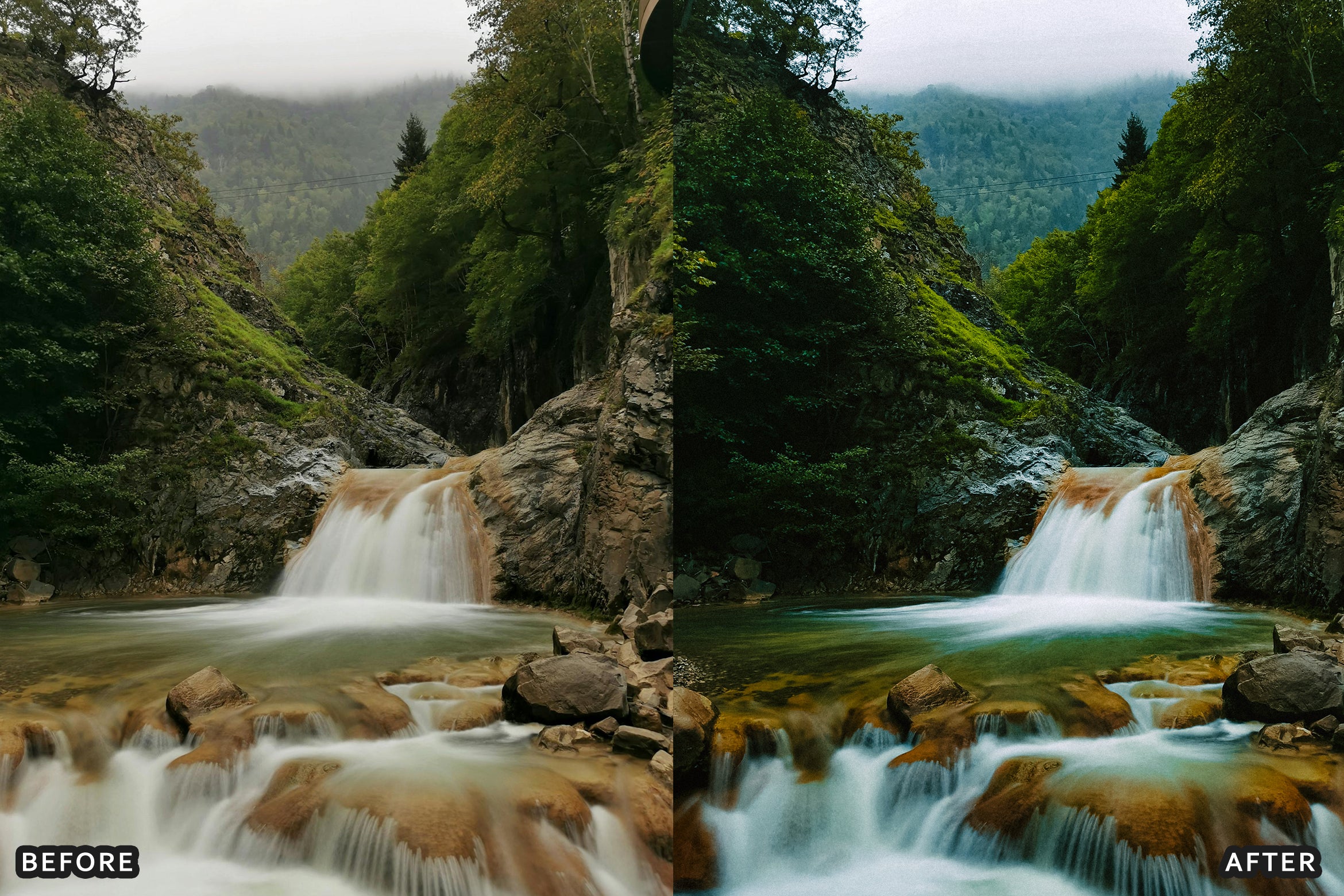 AI-Optimized Nature Forest Lightroom Presets - Lightroom Presets - by AAA Presets