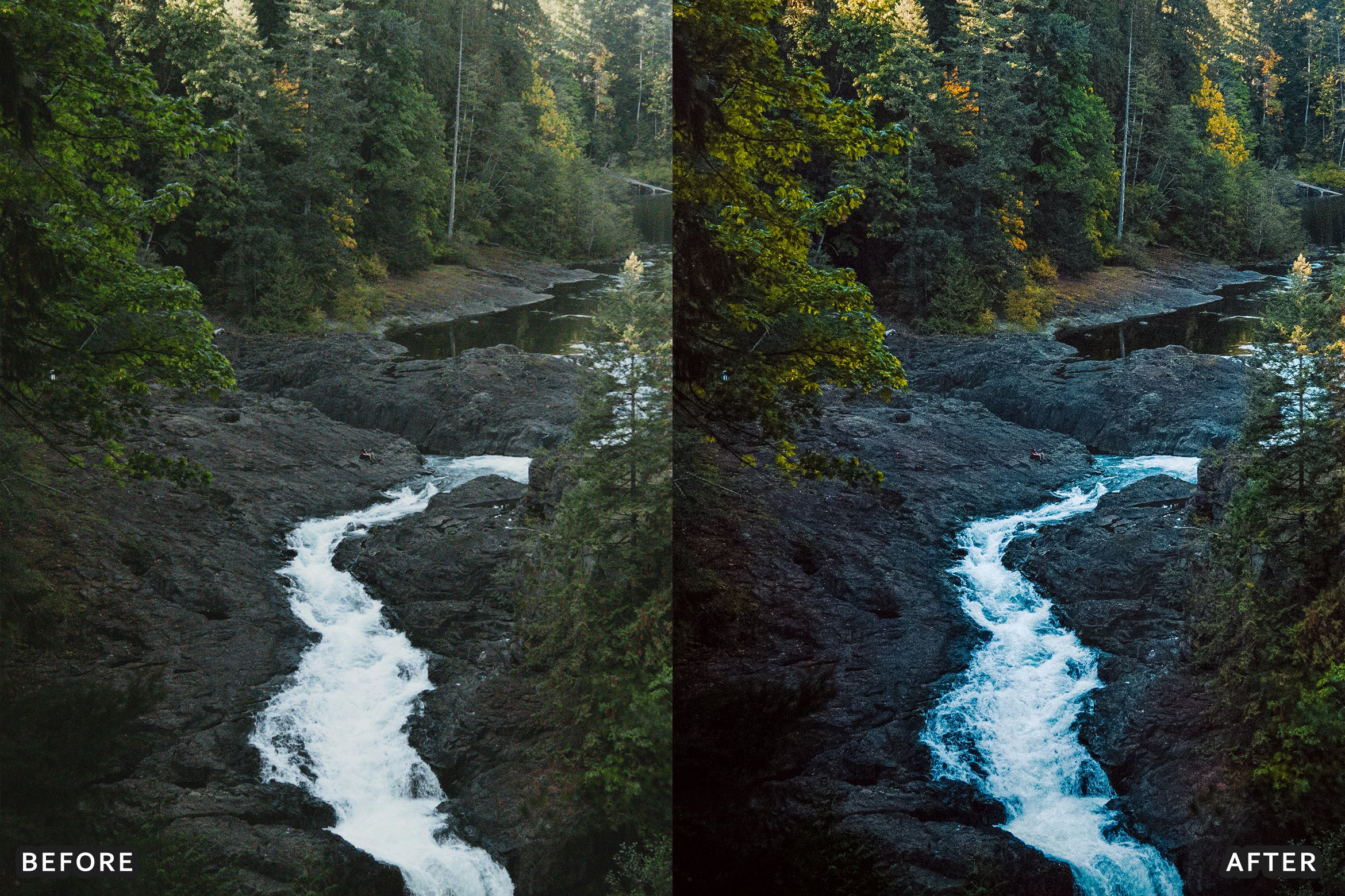 AI-Optimized Nature Forest Lightroom Presets - Lightroom Presets - by AAA Presets