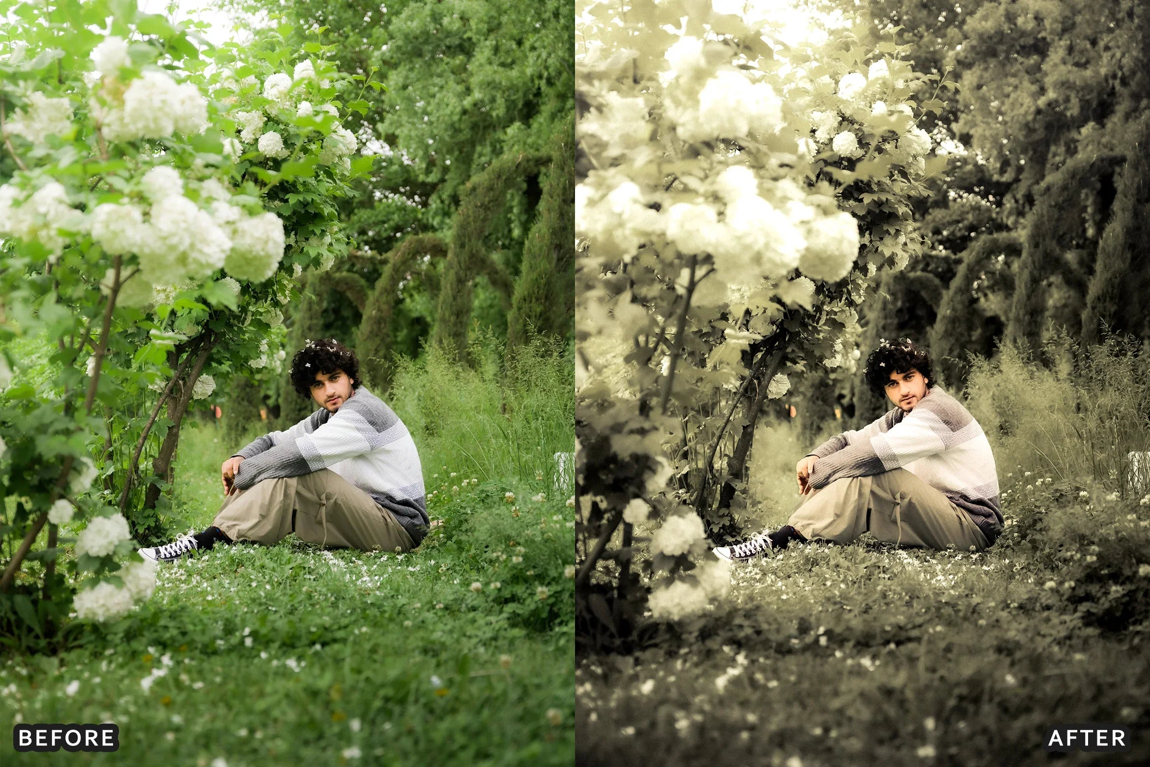 AI-Optimized Overcast Glow Lightroom Presets