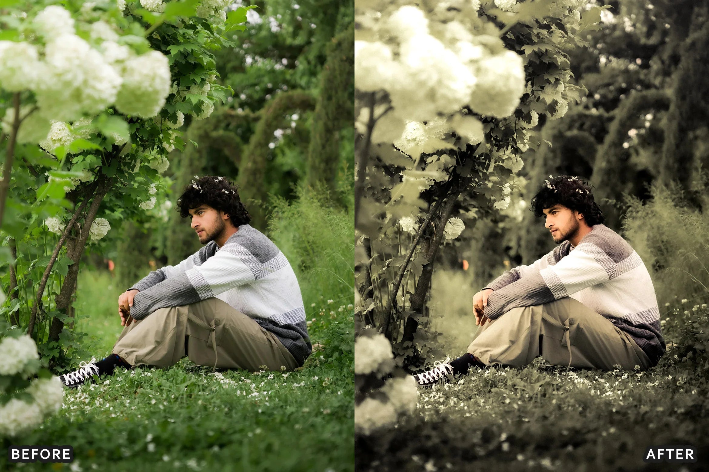 AI-Optimized Overcast Glow Lightroom Presets