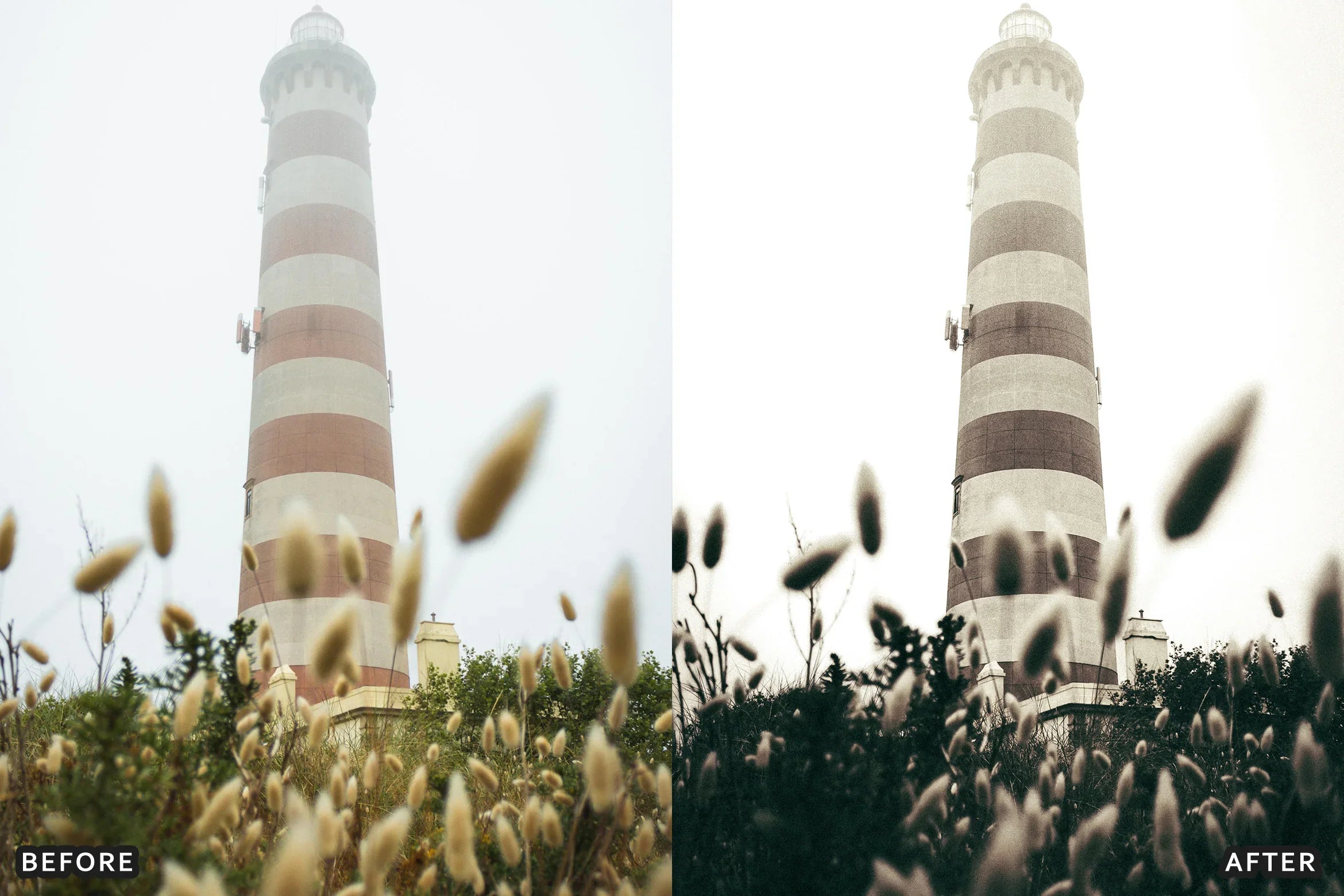 AI-Optimized Rich Black and White Lightroom Presets - Lightroom Presets - by AAA Presets