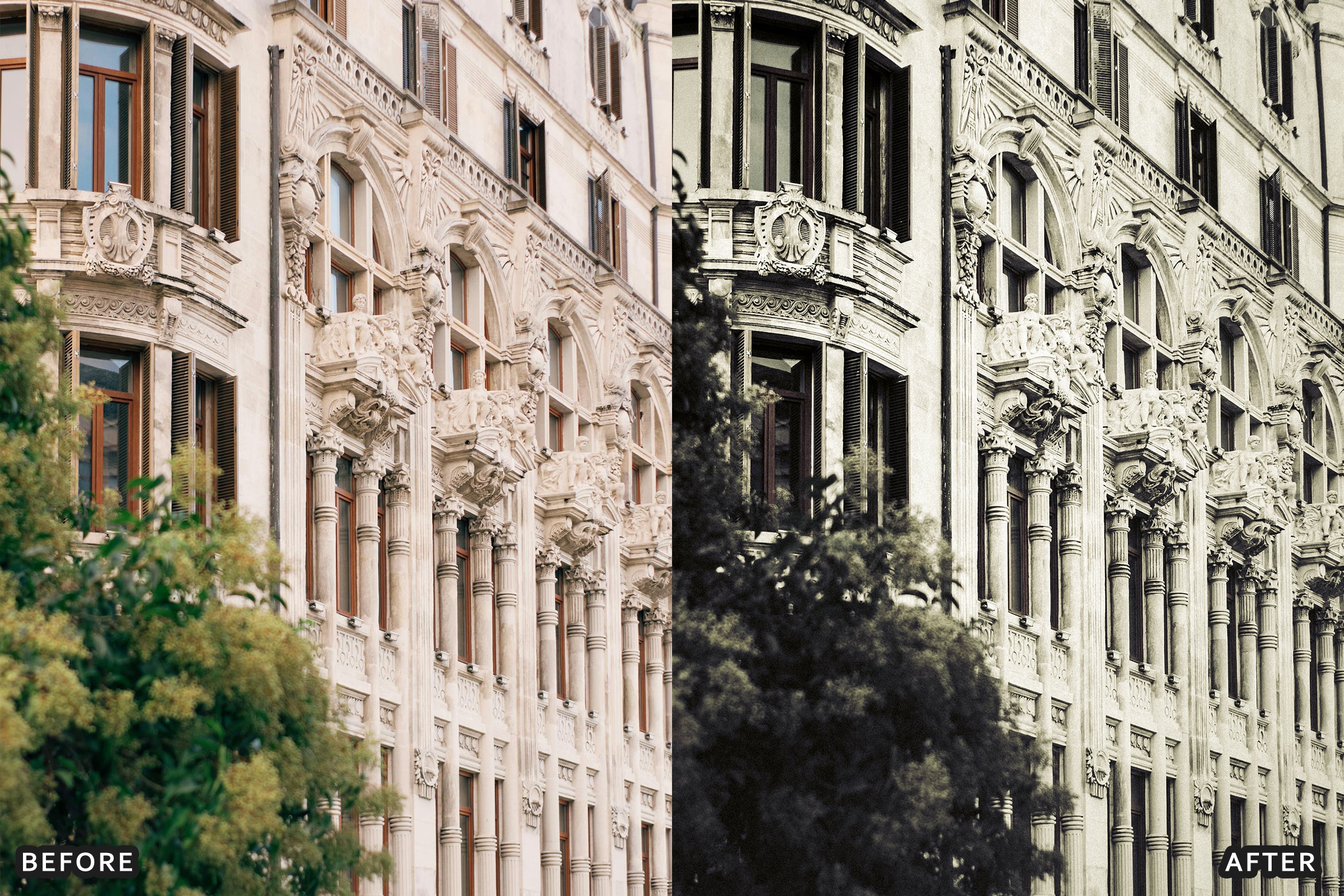 AI-Optimized Rich Black and White Lightroom Presets - Lightroom Presets - by AAA Presets