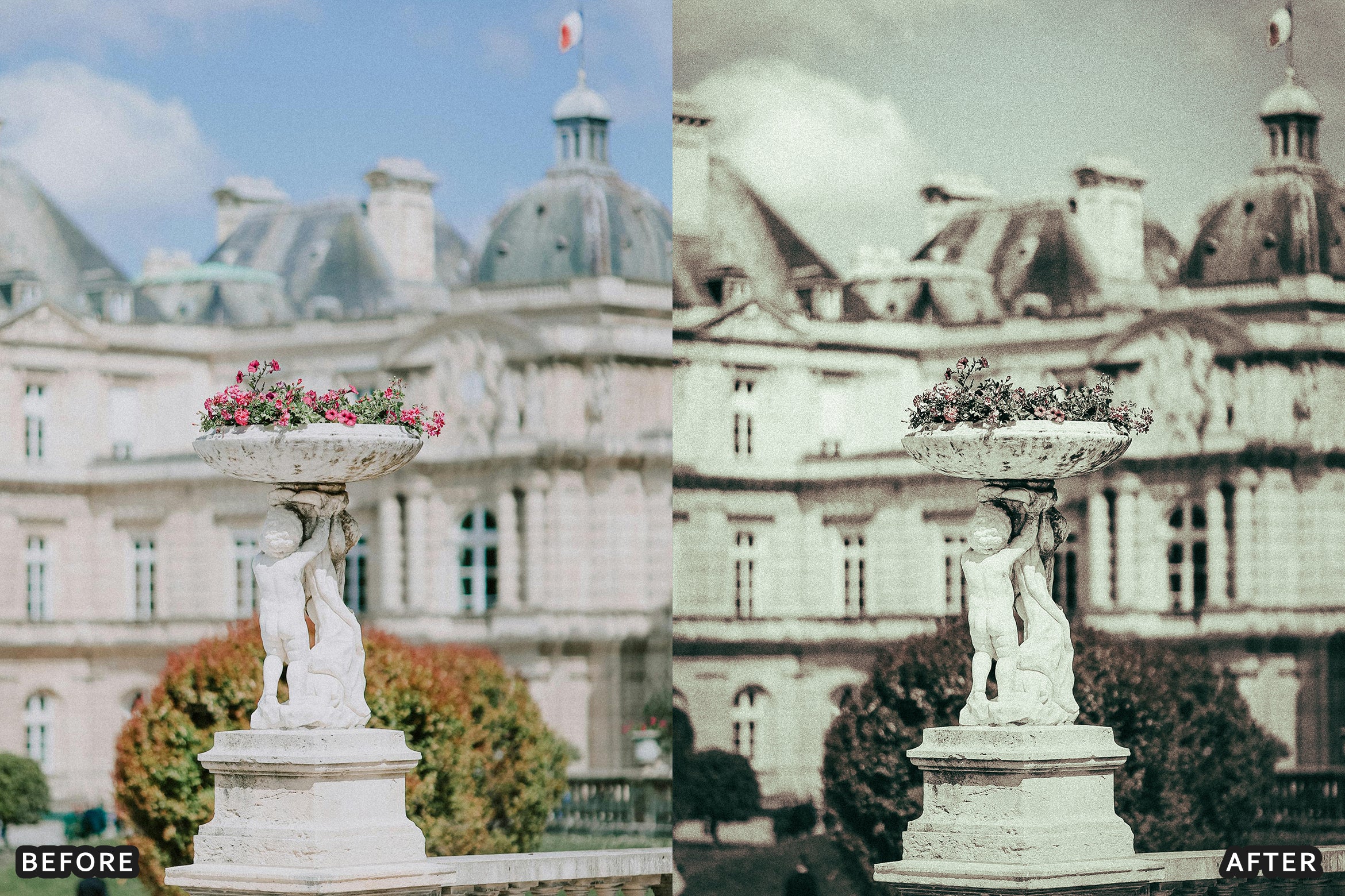 AI-Optimized Rich Black and White Lightroom Presets - Lightroom Presets - by AAA Presets