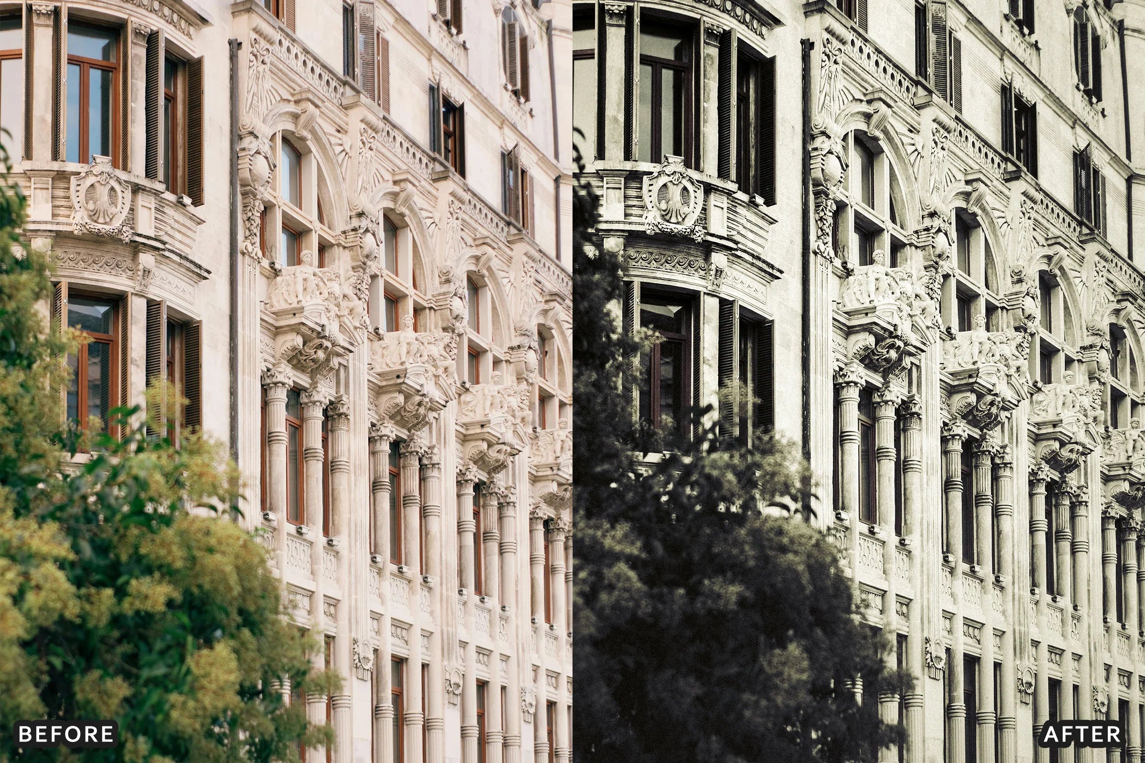 AI-Optimized Rich Black and White Lightroom Presets - Lightroom Presets - by AAA Presets