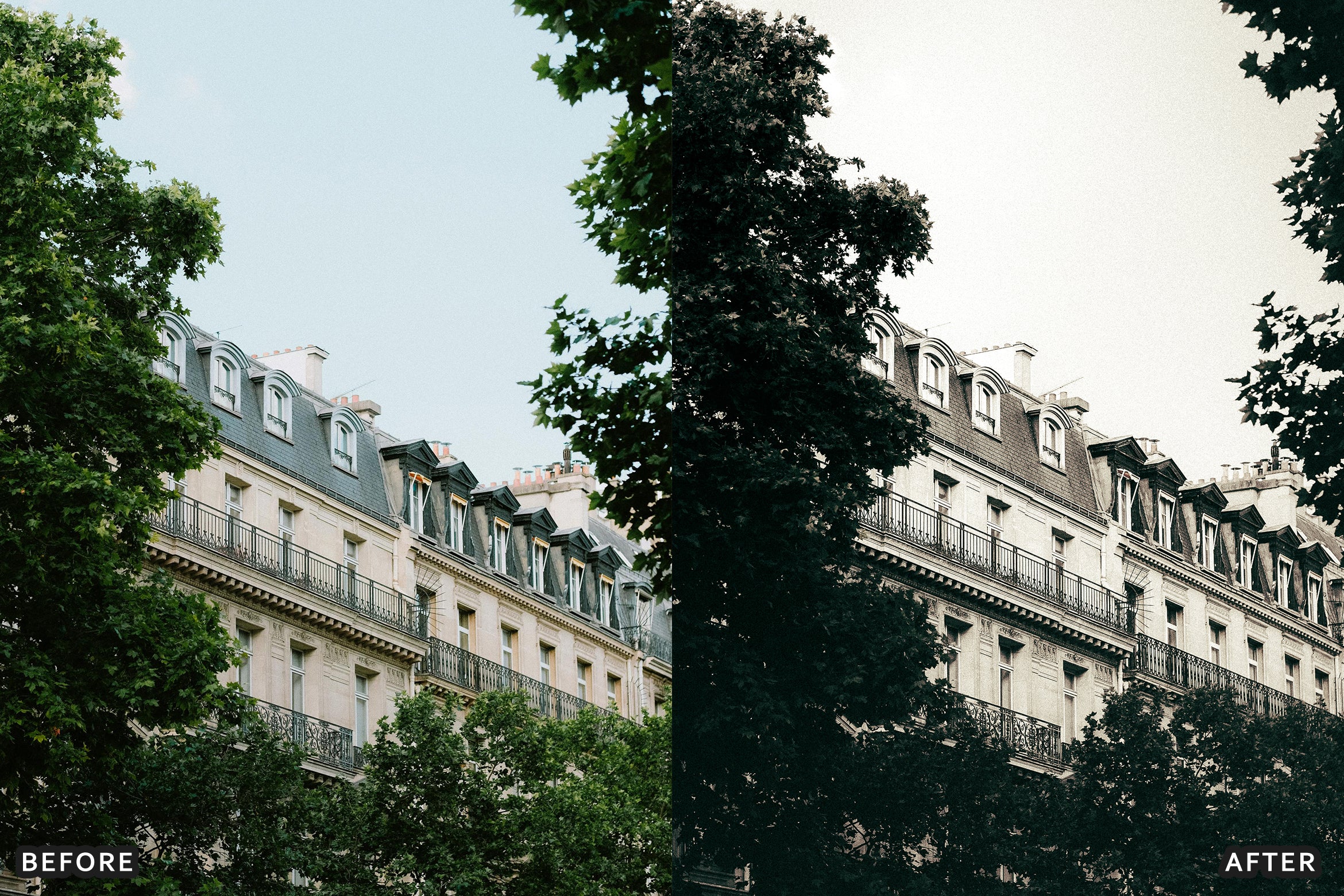 AI-Optimized Rich Black and White Lightroom Presets - Lightroom Presets - by AAA Presets