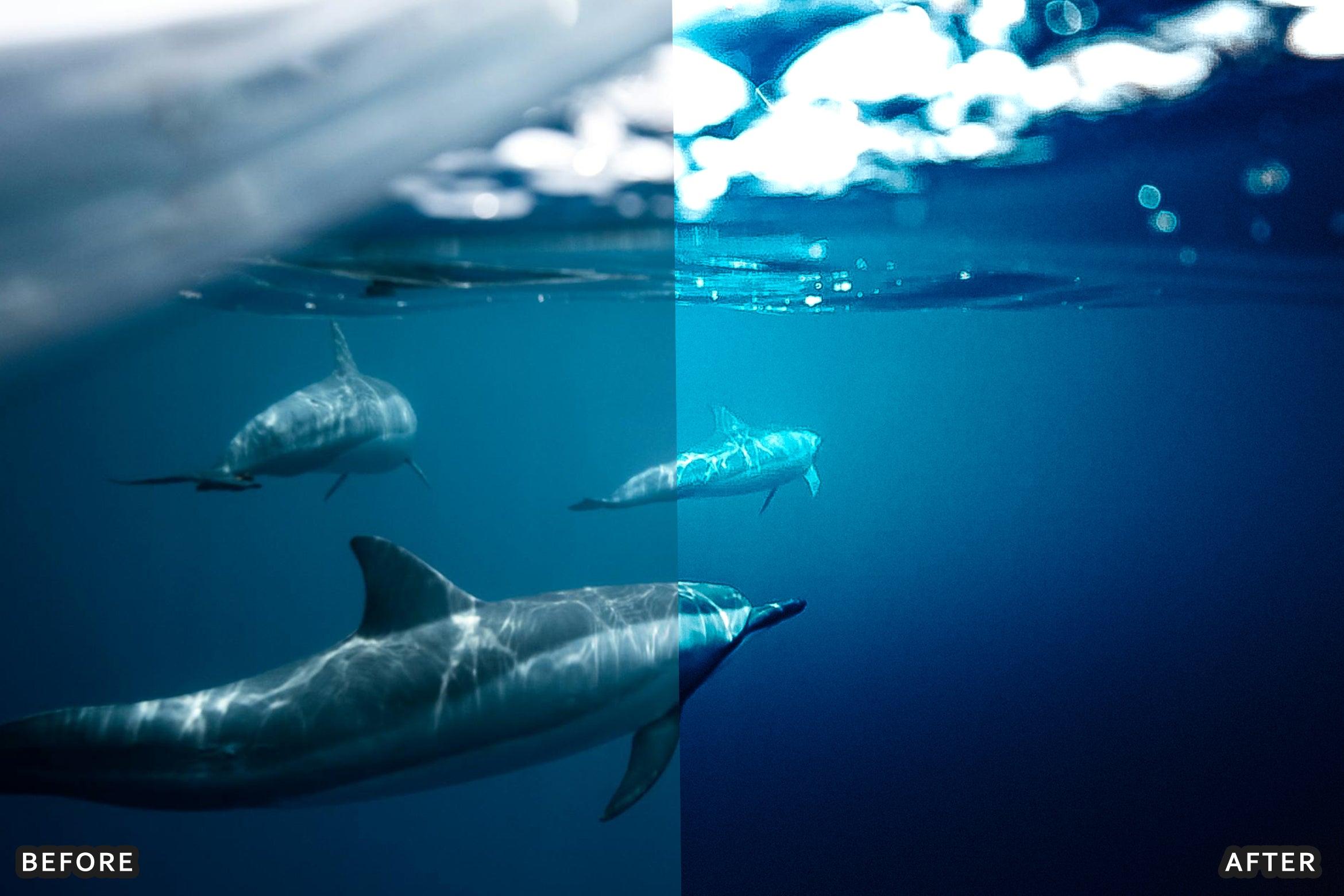 AI-Optimized Underwater Photography Lightroom Presets - Lightroom Presets - by AAA Presets