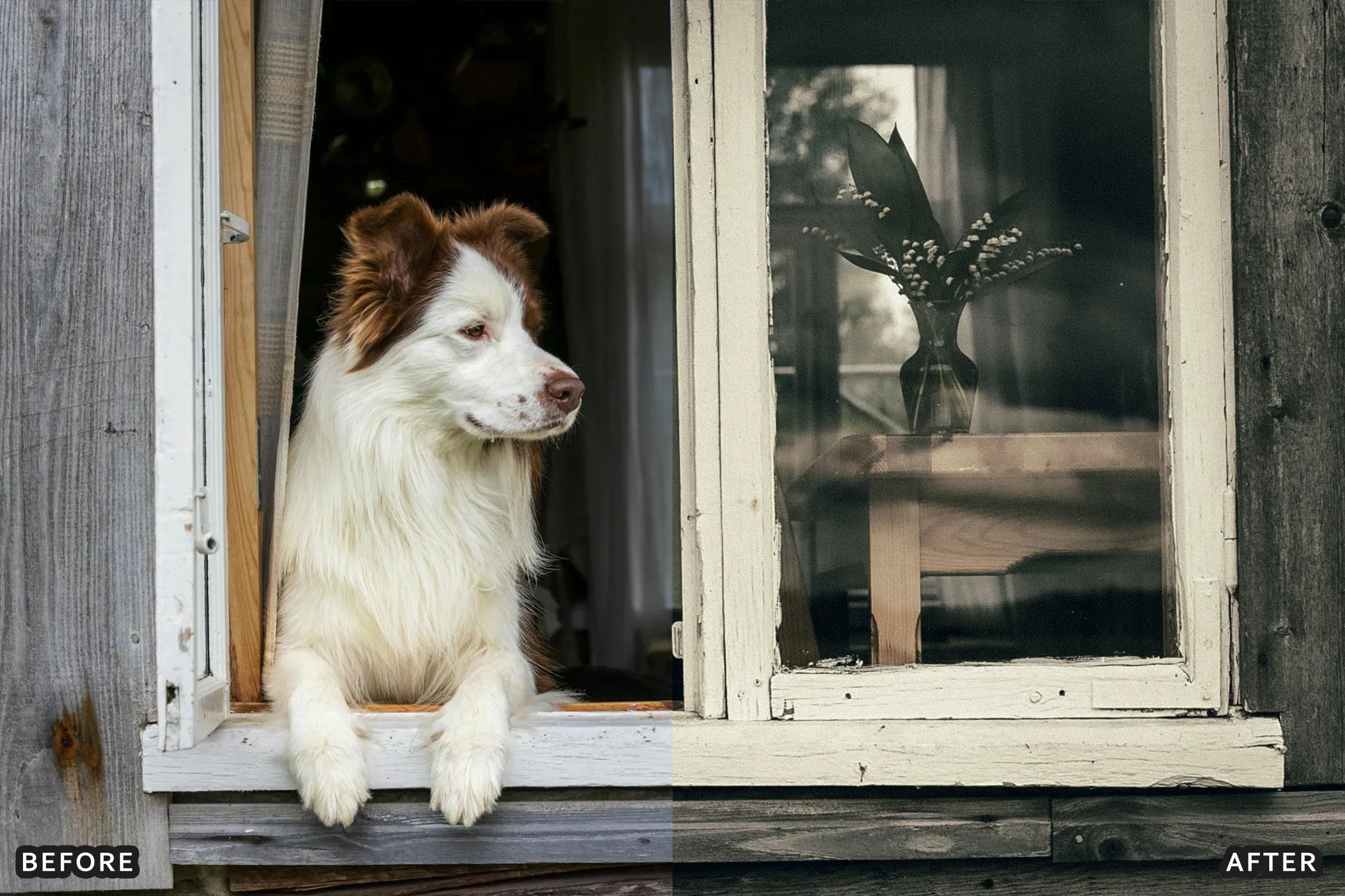 AI-Optimized Vintage Old Film Air Lightroom Presets