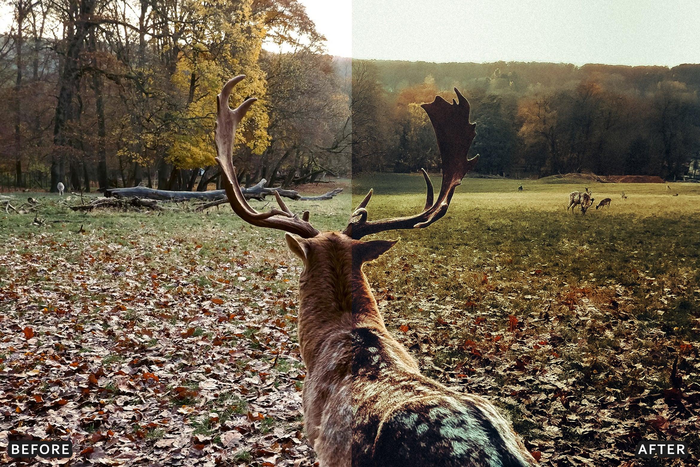 AI-Optimized Wild Animal Lightroom Presets - Lightroom Presets - by AAA Presets