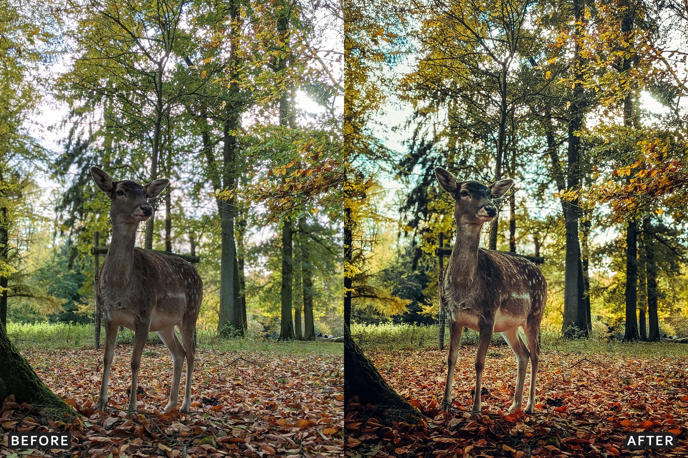 AI-Optimized Wild Animal Lightroom Presets - Lightroom Presets - by AAA Presets