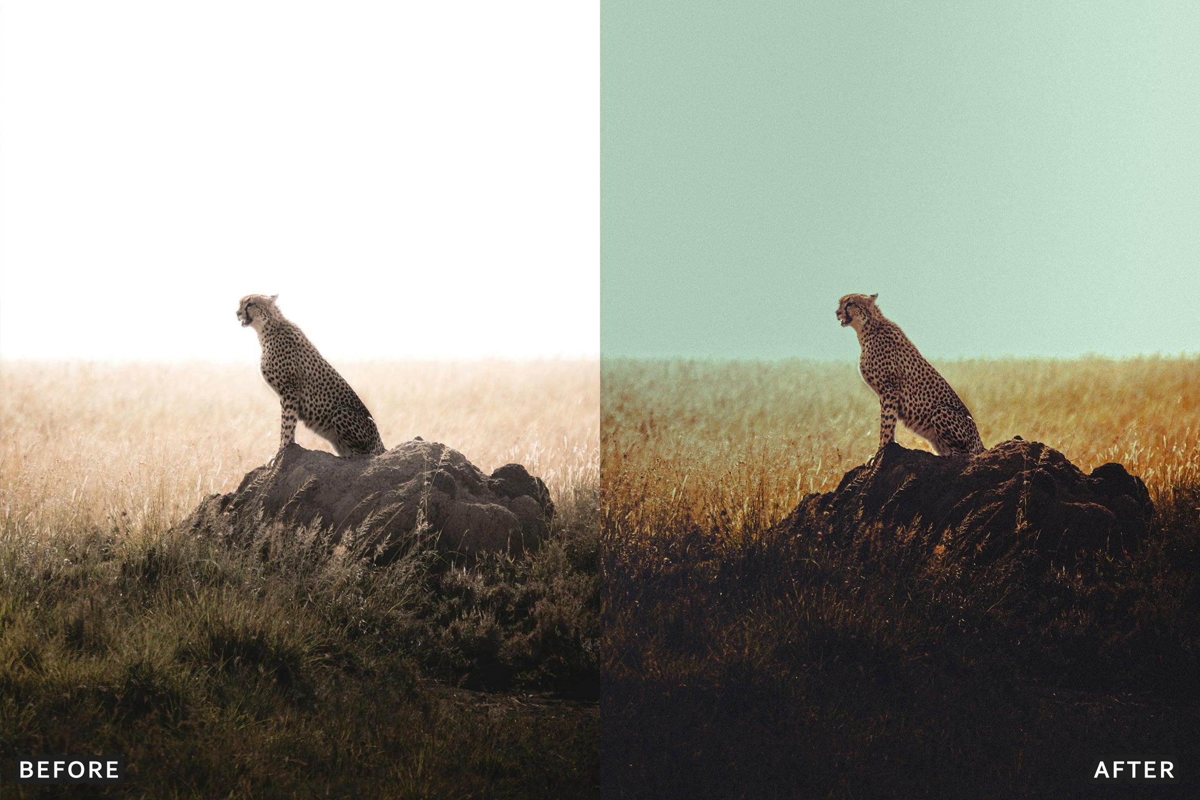 AI-Optimized Wild Life Lightroom Presets - Lightroom Presets - by AAA Presets