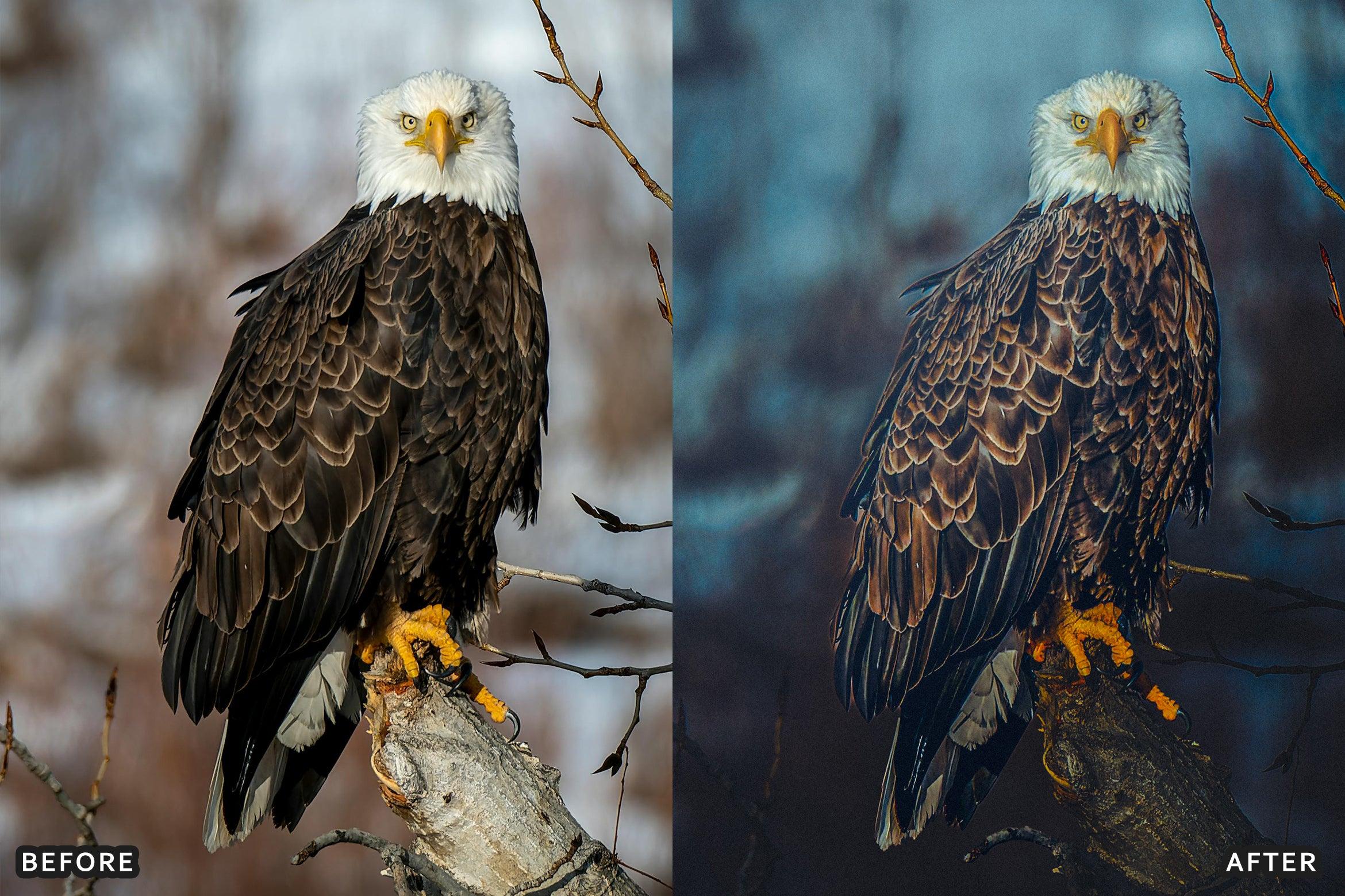 AI-Optimized Wild Life Lightroom Presets - Lightroom Presets - by AAA Presets