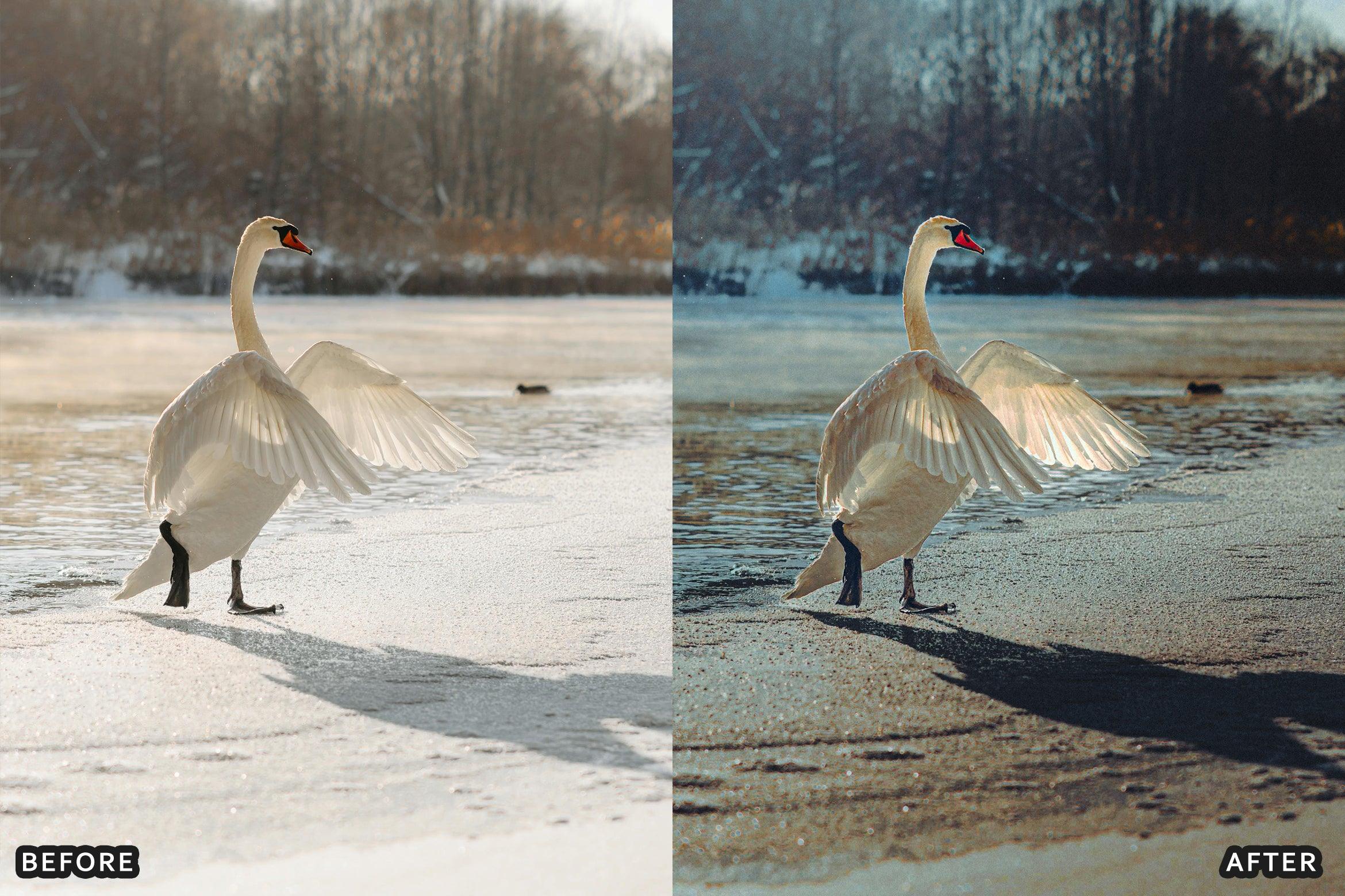 AI-Optimized Wild Life Lightroom Presets - Lightroom Presets - by AAA Presets