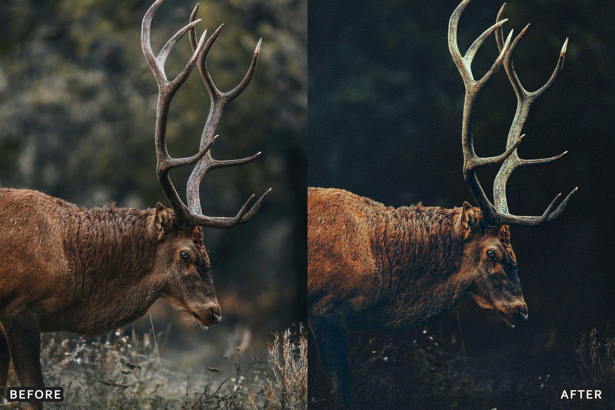 AI-Optimized Wild Life Lightroom Presets - Lightroom Presets - by AAA Presets