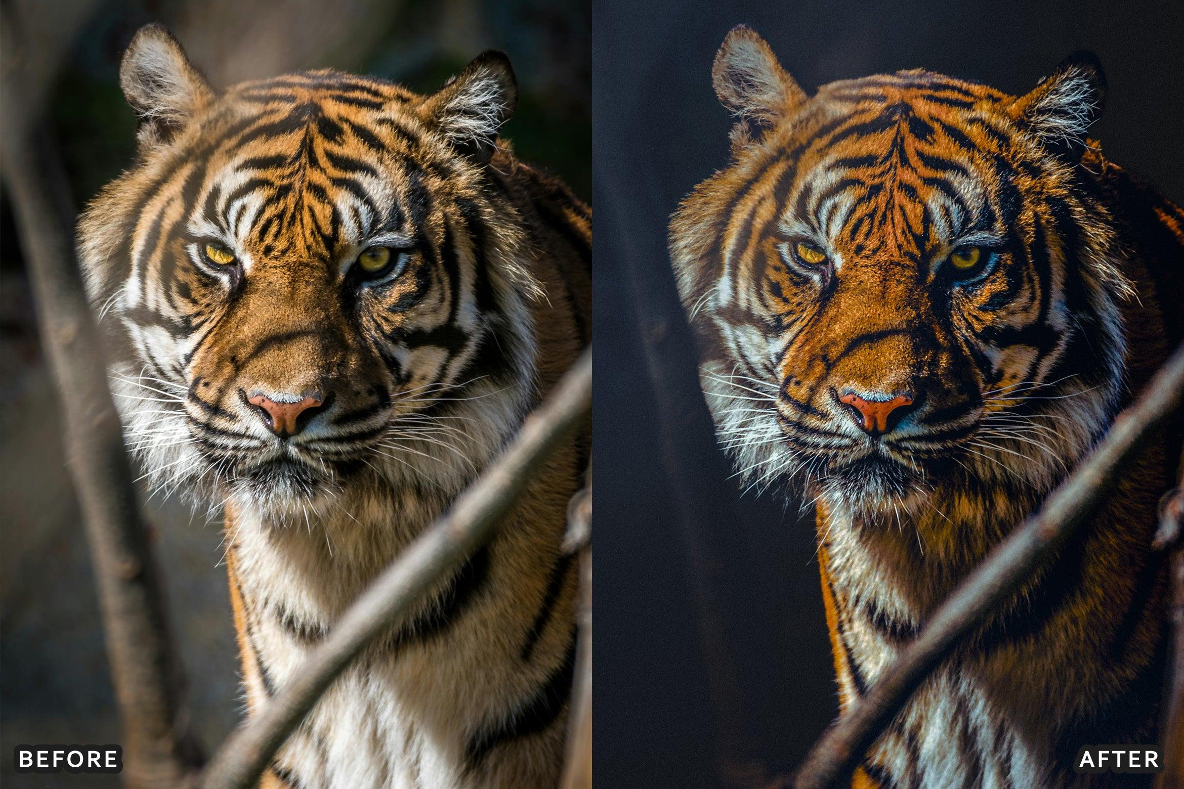 AI-Optimized Wild Life Lightroom Presets - Lightroom Presets - by AAA Presets