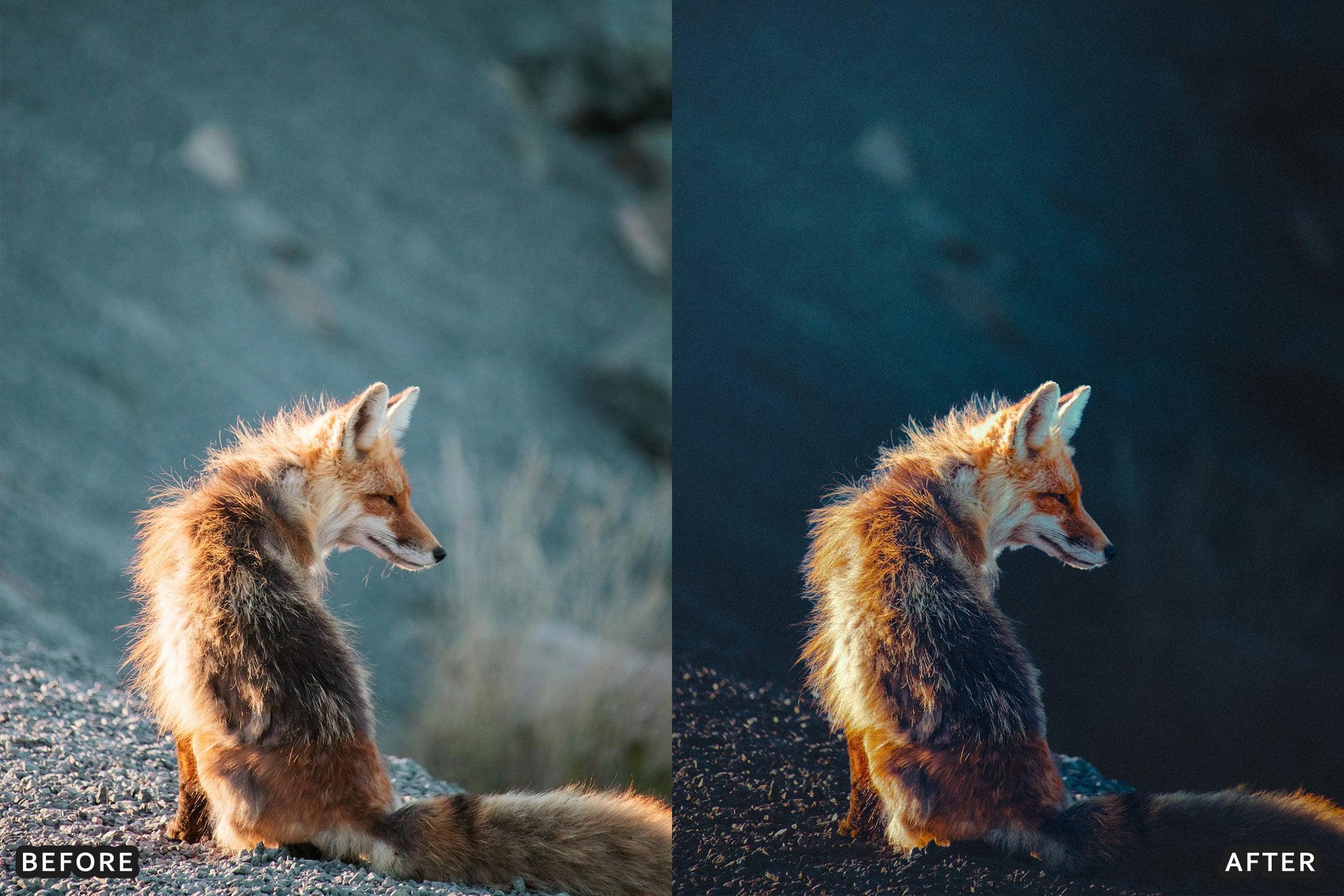 AI-Optimized Wild Life Lightroom Presets - Lightroom Presets - by AAA Presets