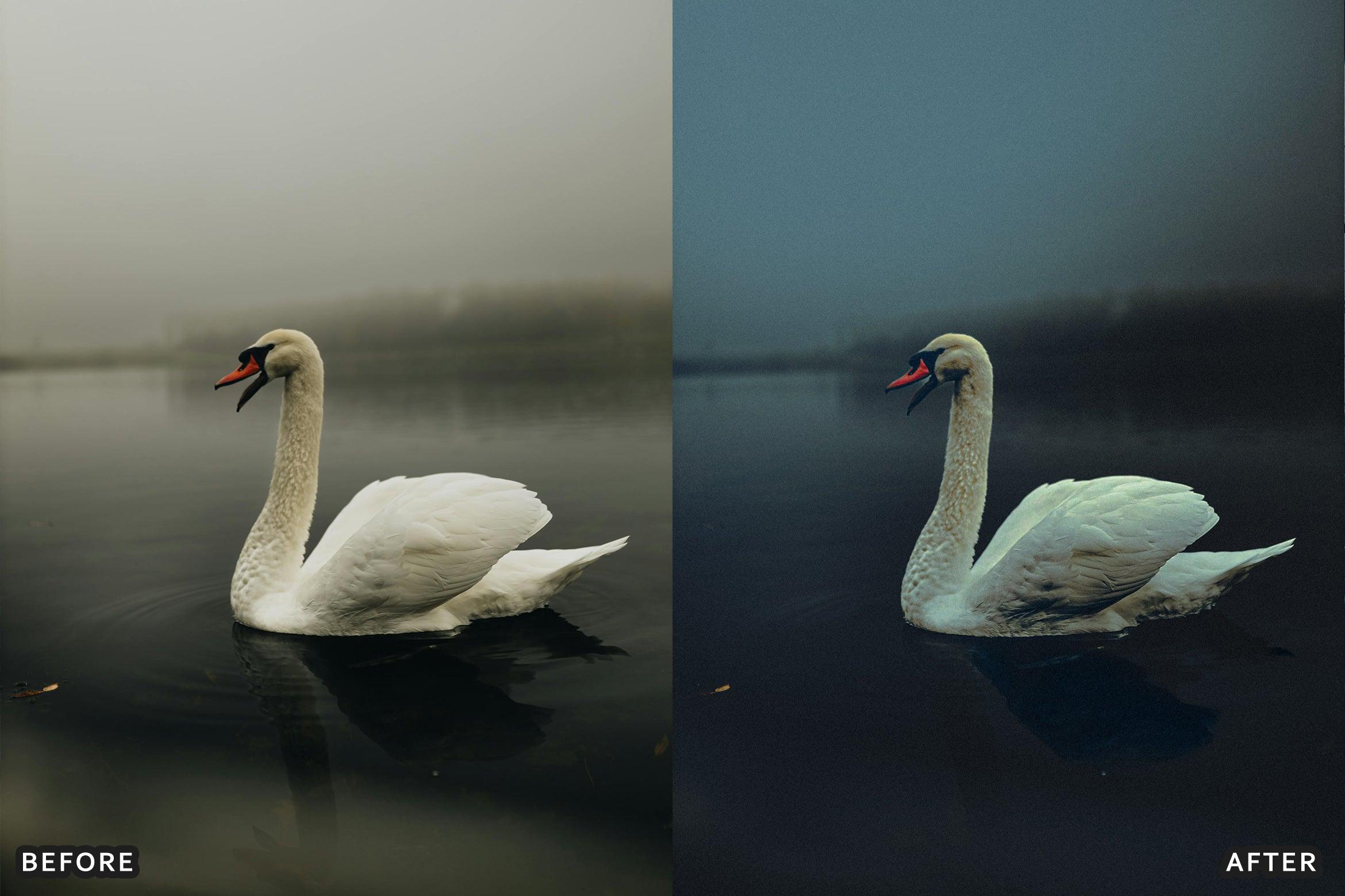 AI-Optimized Wild Life Lightroom Presets - Lightroom Presets - by AAA Presets