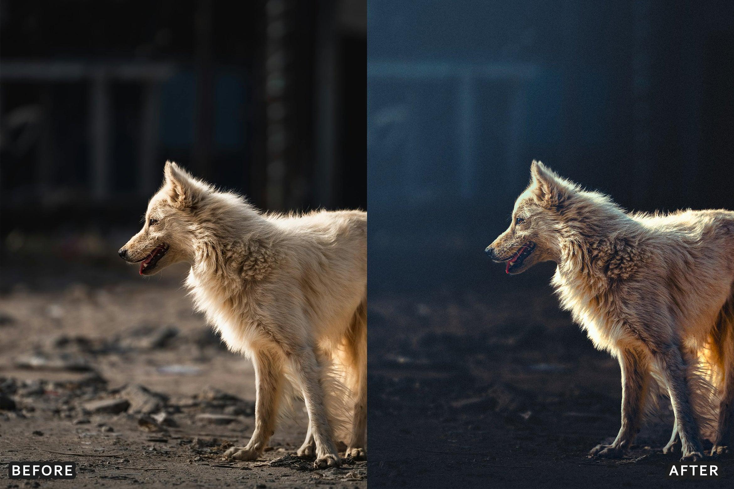 AI-Optimized Wild Life Lightroom Presets - Lightroom Presets - by AAA Presets