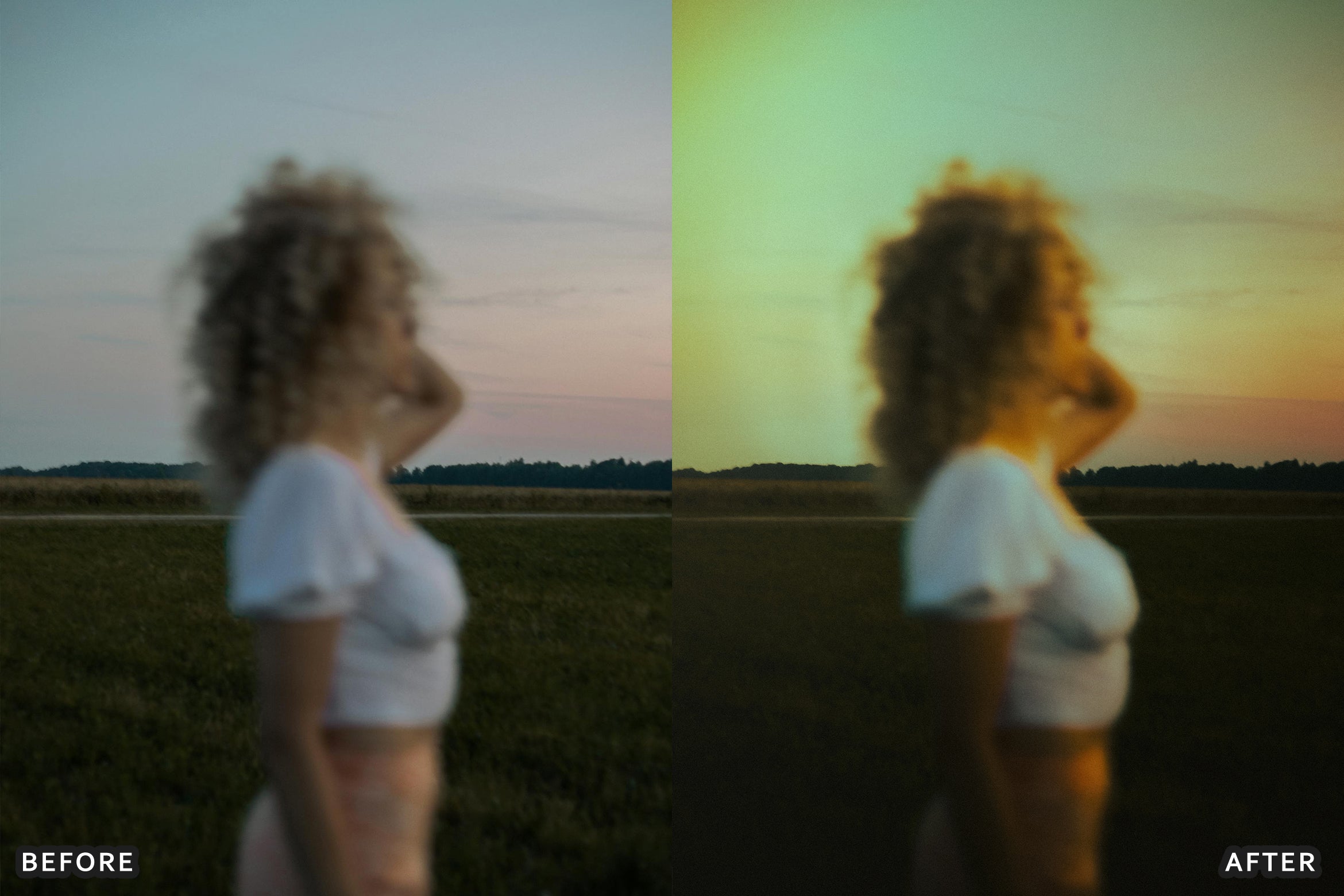 AI-Optimized Cinematic Golden Garden Lightroom Presets