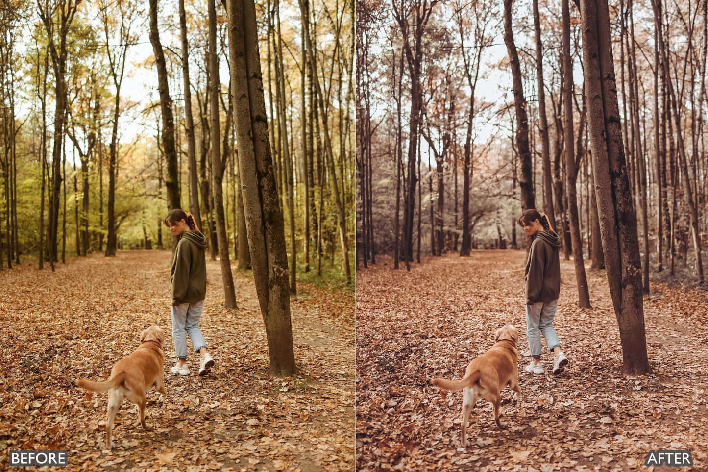 Autumn Fall Tones Lightroom Presets - adobe lightroom presets, Blogger presets, Cinematic Presets, cream presets, Fall Presets, instagram presets, lightroom presets, Portrait presets, presets before and after, professional lightroom presets - aaapresets.com