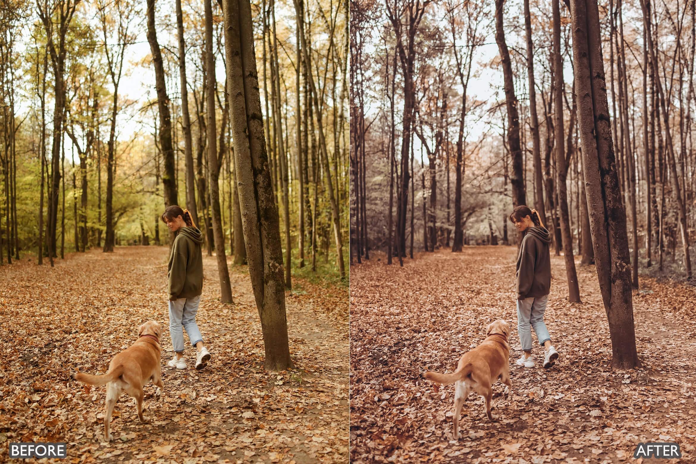 Autumn Fall Tones Lightroom Presets - adobe lightroom presets, Blogger presets, Cinematic Presets, cream presets, Fall Presets, instagram presets, lightroom presets, Portrait presets, presets before and after, professional lightroom presets - aaapresets.com