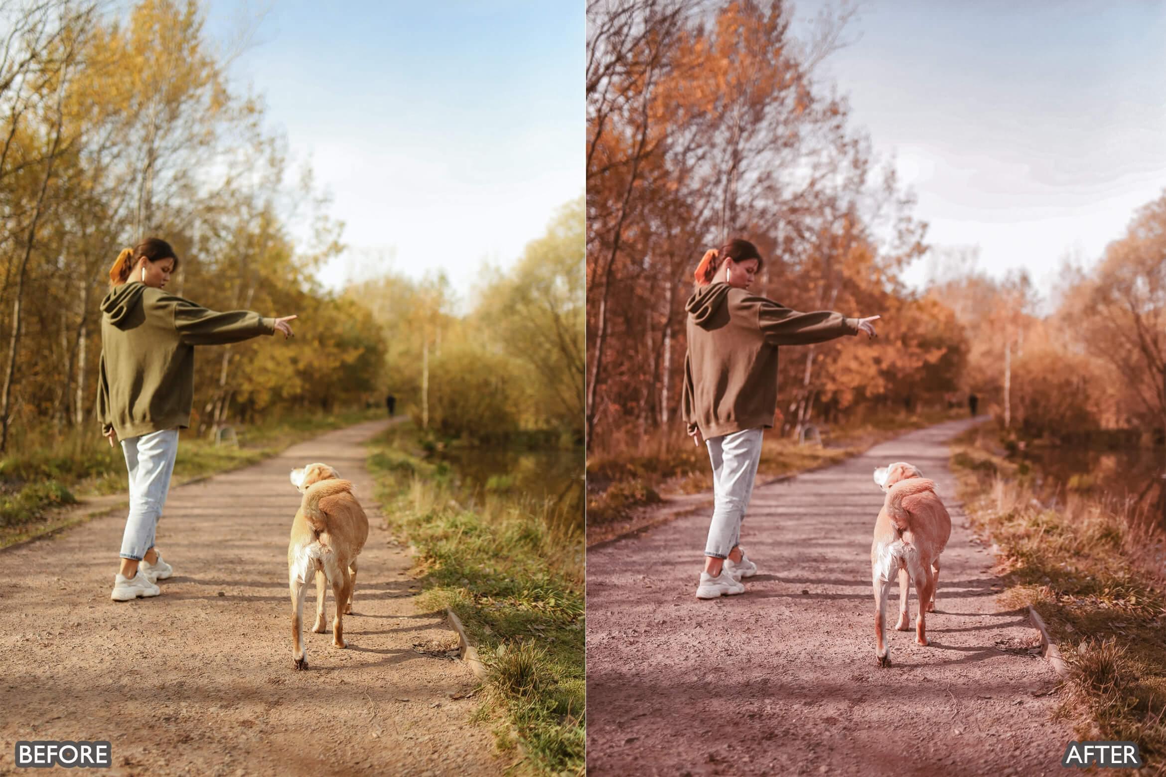 Autumn Fall Tones Lightroom Presets - adobe lightroom presets, Blogger presets, Cinematic Presets, cream presets, Fall Presets, instagram presets, lightroom presets, Portrait presets, presets before and after, professional lightroom presets - aaapresets.com