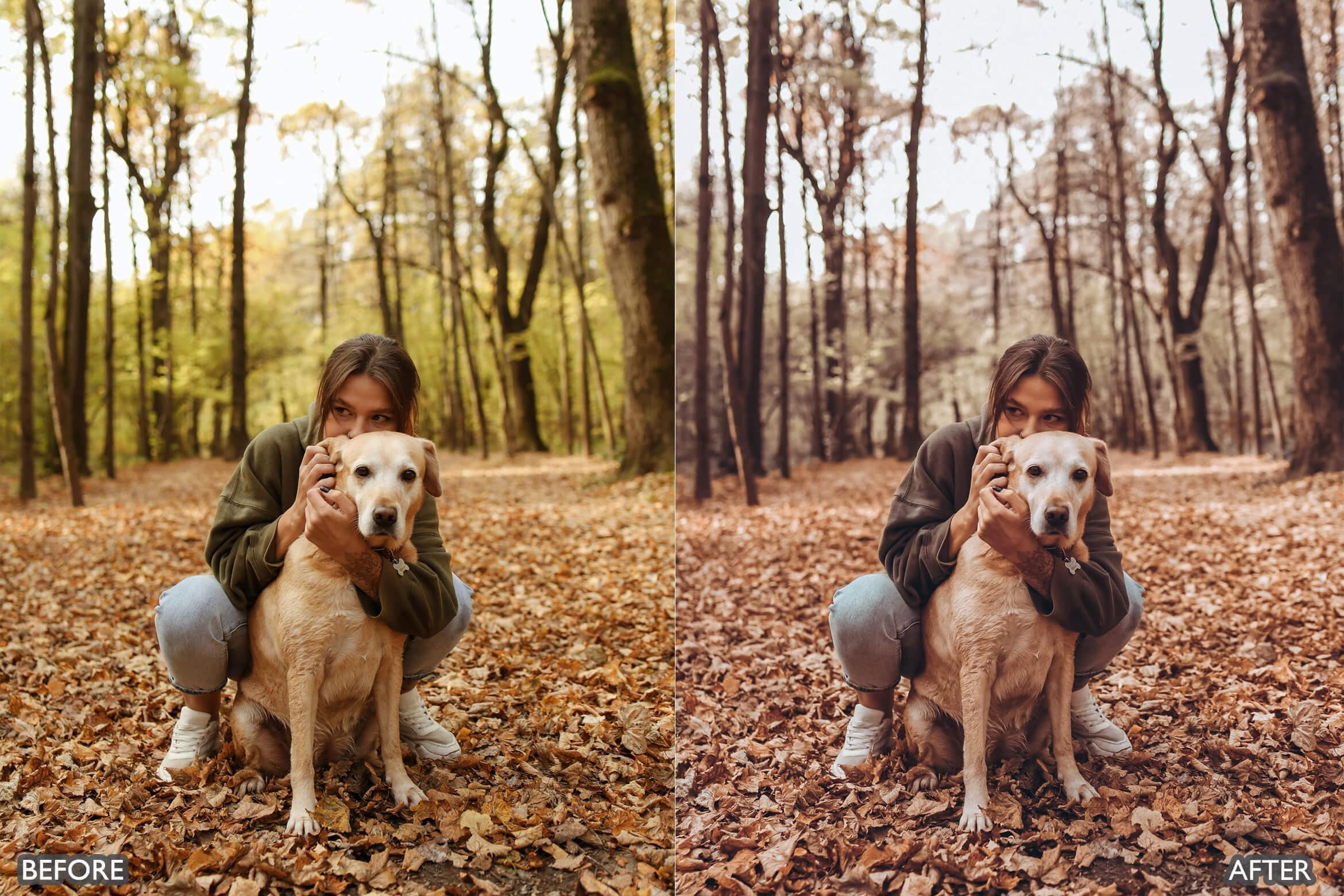 Autumn Fall Tones Lightroom Presets - Lightroom Presets - by AAA Presets