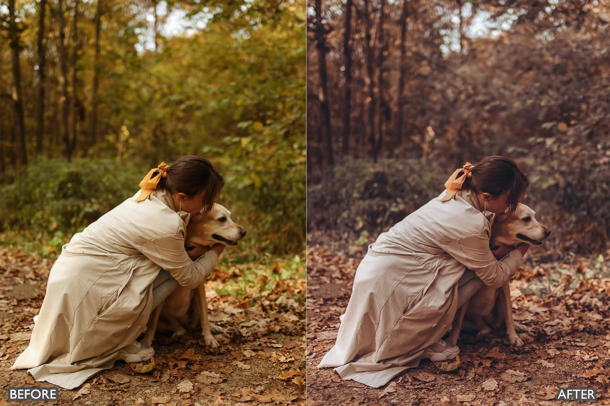 Autumn Fall Tones Lightroom Presets - adobe lightroom presets, Blogger presets, Cinematic Presets, cream presets, Fall Presets, instagram presets, lightroom presets, Portrait presets, presets before and after, professional lightroom presets - aaapresets.com