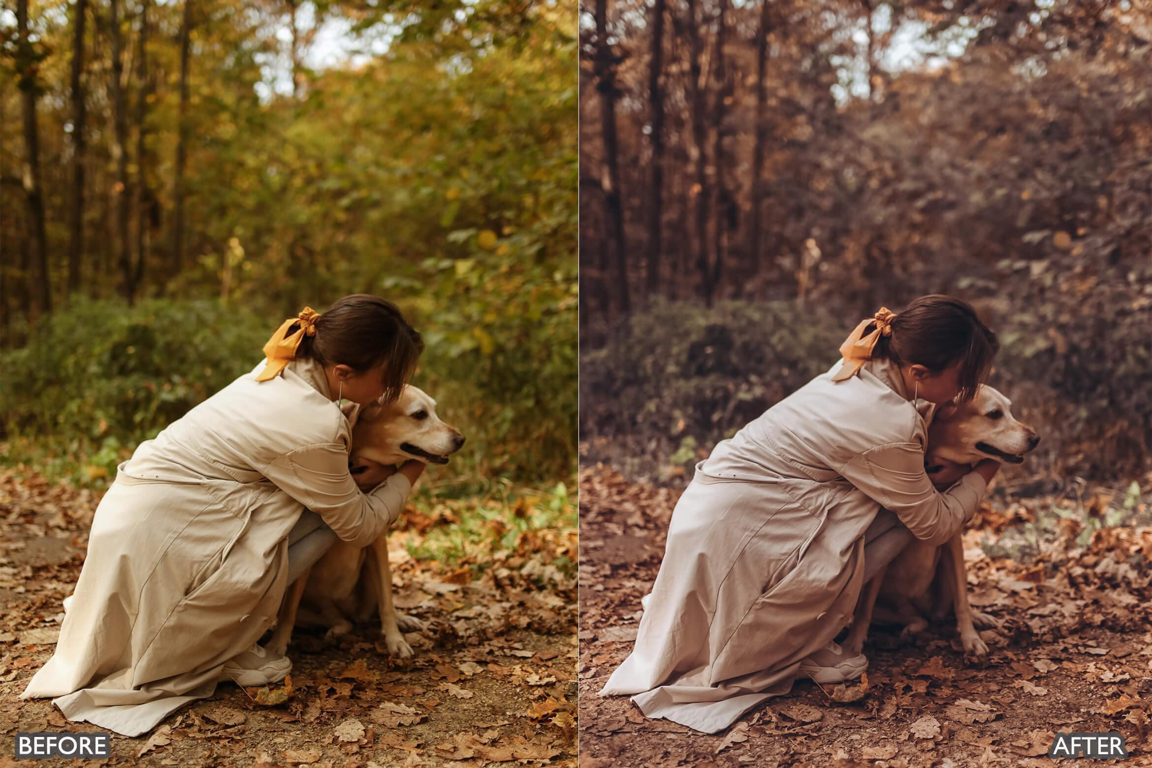Autumn Fall Tones Lightroom Presets - Lightroom Presets - by AAA Presets