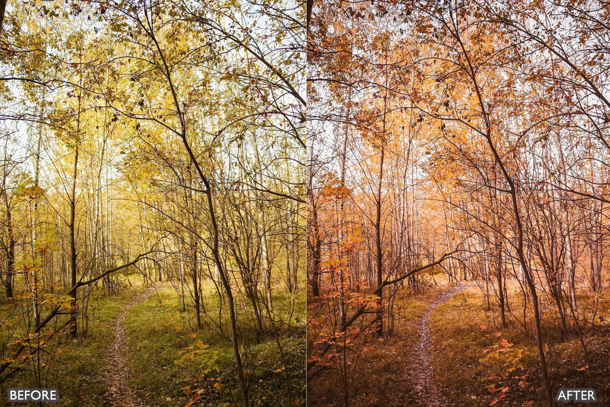 Autumn Fall Tones Lightroom Presets - Lightroom Presets - by AAA Presets