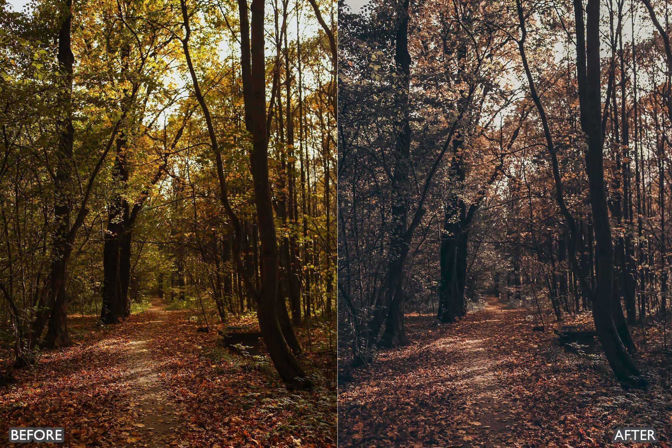 Autumn Fall Tones Lightroom Presets - Lightroom Presets - by AAA Presets