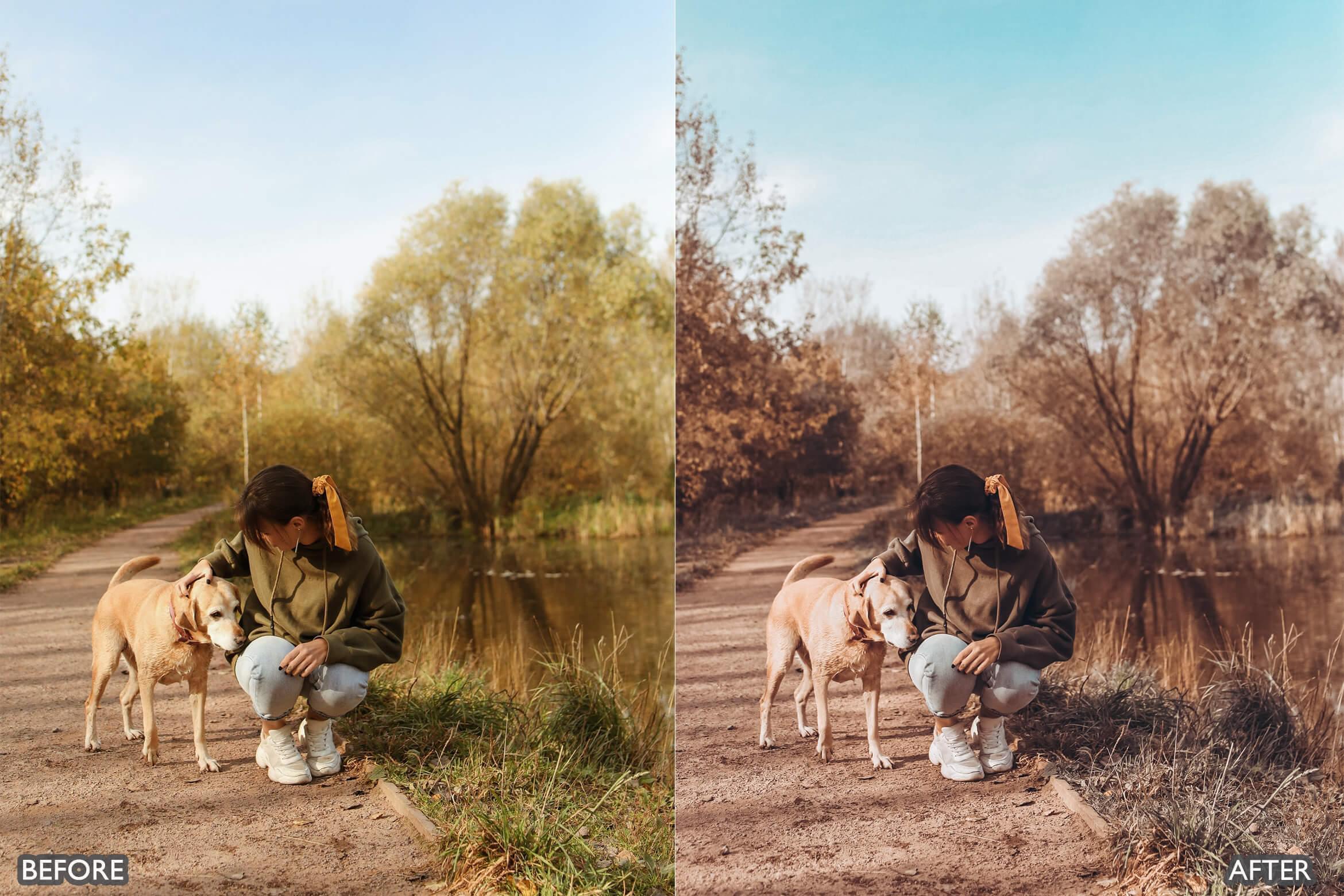 Autumn Fall Tones Lightroom Presets - Lightroom Presets - by AAA Presets