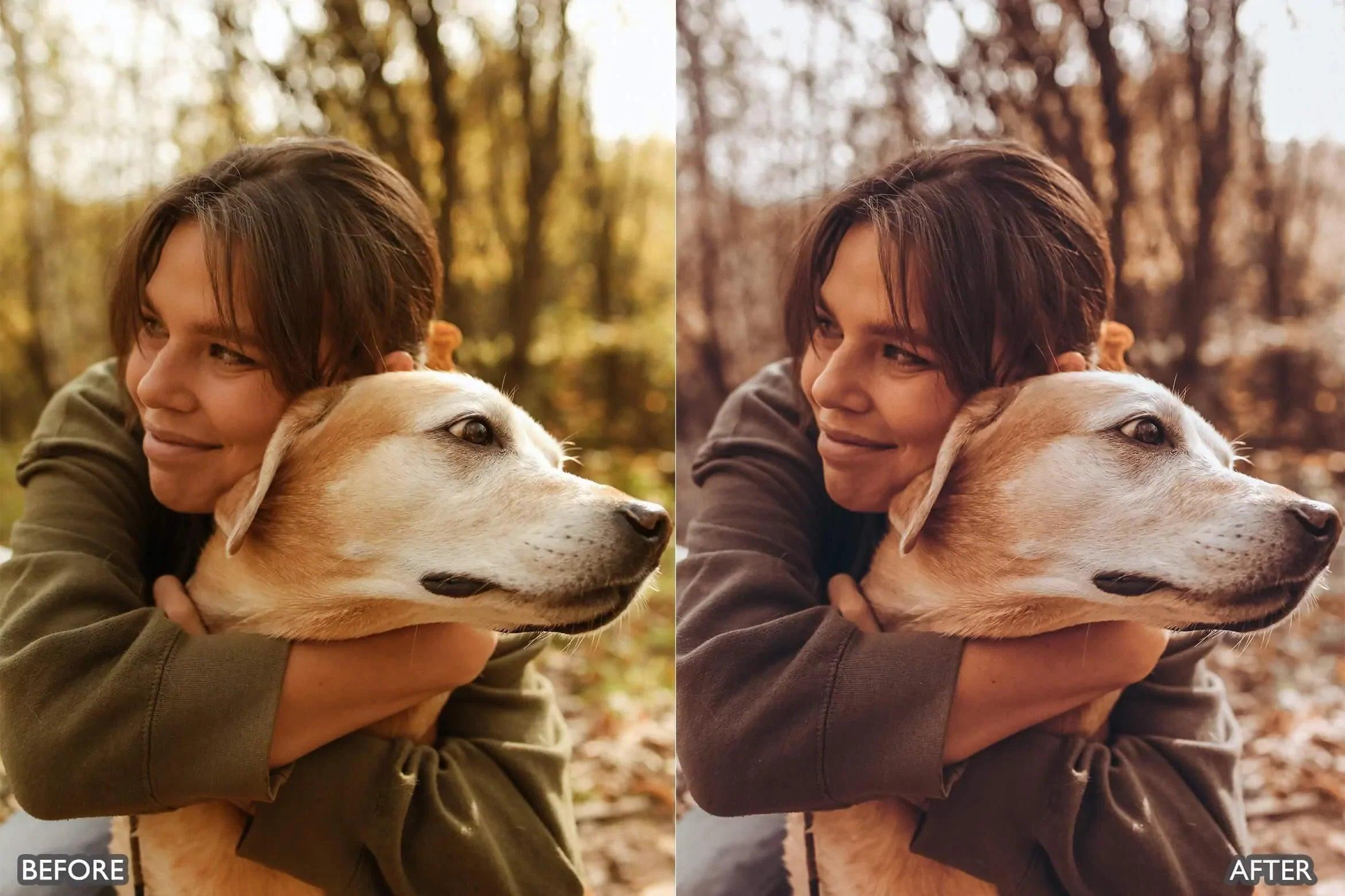 Autumn Fall Tones Lightroom Presets - Lightroom Presets - by AAA Presets