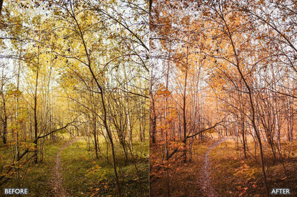 Autumn Fall Tones Lightroom Presets - adobe lightroom presets, Blogger presets, Cinematic Presets, cream presets, Fall Presets, instagram presets, lightroom presets, Portrait presets, presets before and after, professional lightroom presets - aaapresets.com