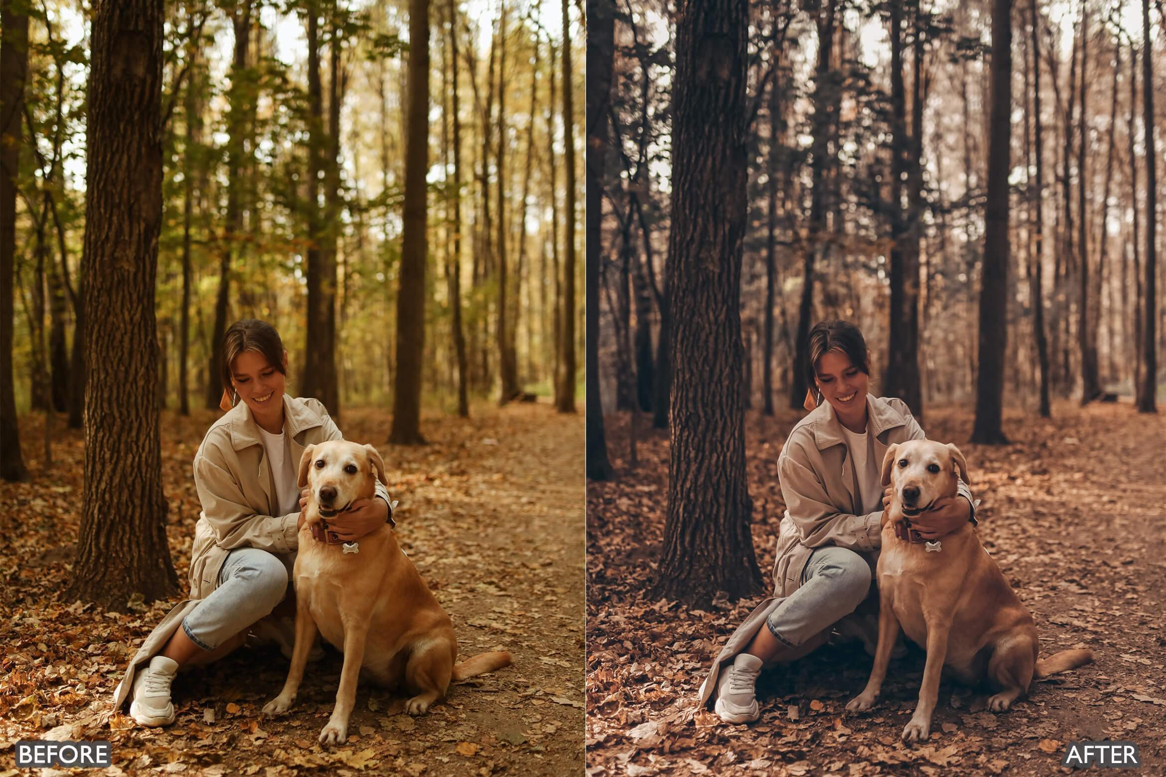 Autumn Fall Tones Lightroom Presets - Lightroom Presets - by AAA Presets