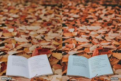 Autumn Fall Vibrant Lightroom Presets - adobe lightroom presets, Blogger presets, Cinematic Presets, cream presets, Fall Presets, instagram presets, lightroom presets, Moody Green presets, Portrait presets, presets before and after, professional lightroom presets - aaapresets.com