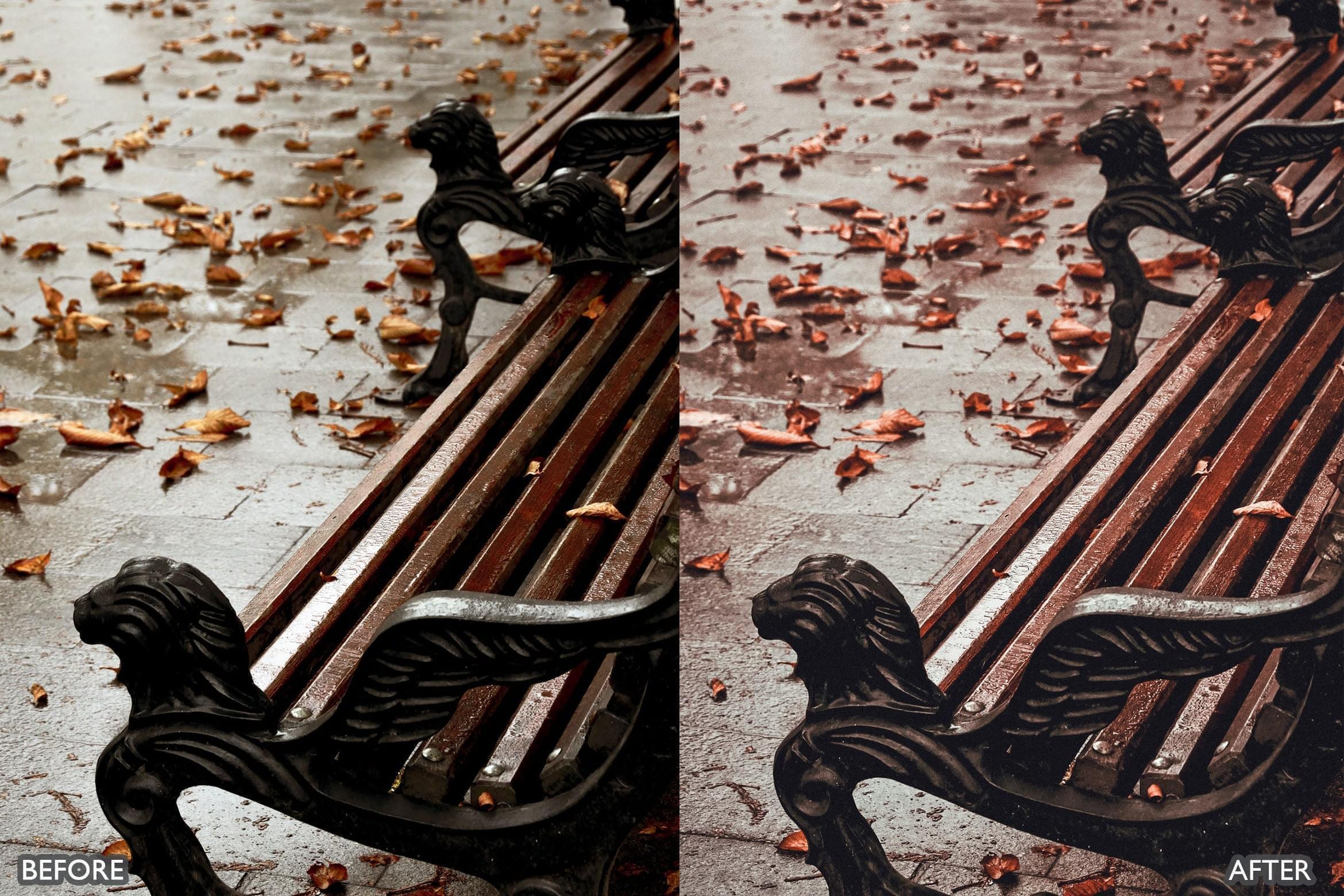 Autumn Fall Vibrant Lightroom Presets - Lightroom Presets - by AAA Presets