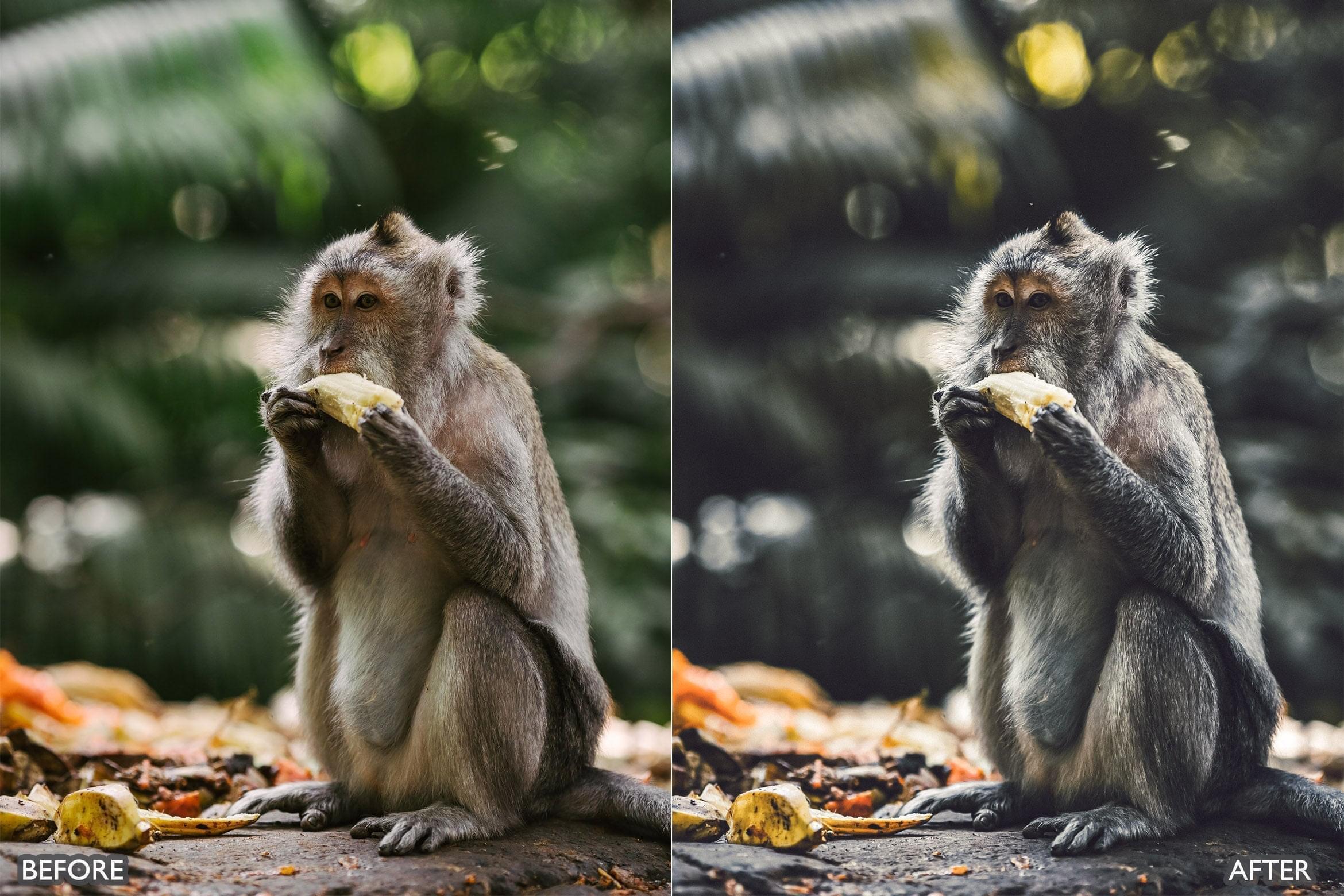 Bali Moody Green Lightroom Presets - Lightroom Presets - by AAA Presets