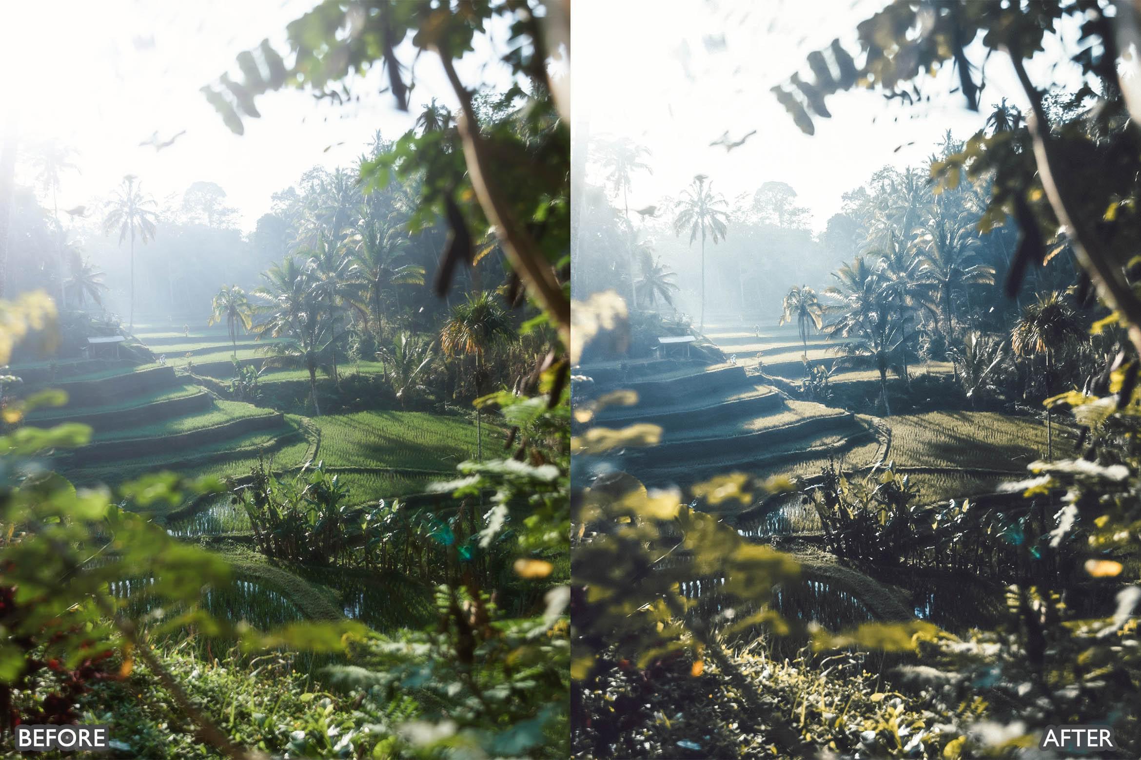 Bali Moody Green Lightroom Presets - Lightroom Presets - by AAA Presets