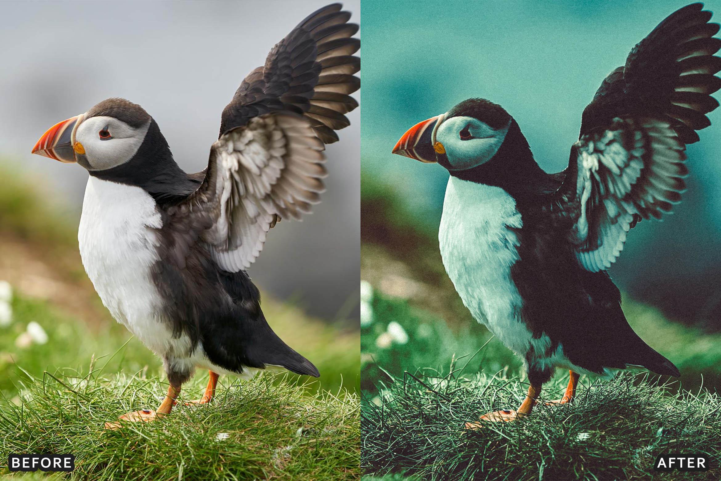 Bird Photography Wildlife Cinematic Lightroom Presets - Lightroom Presets - by AAA Presets