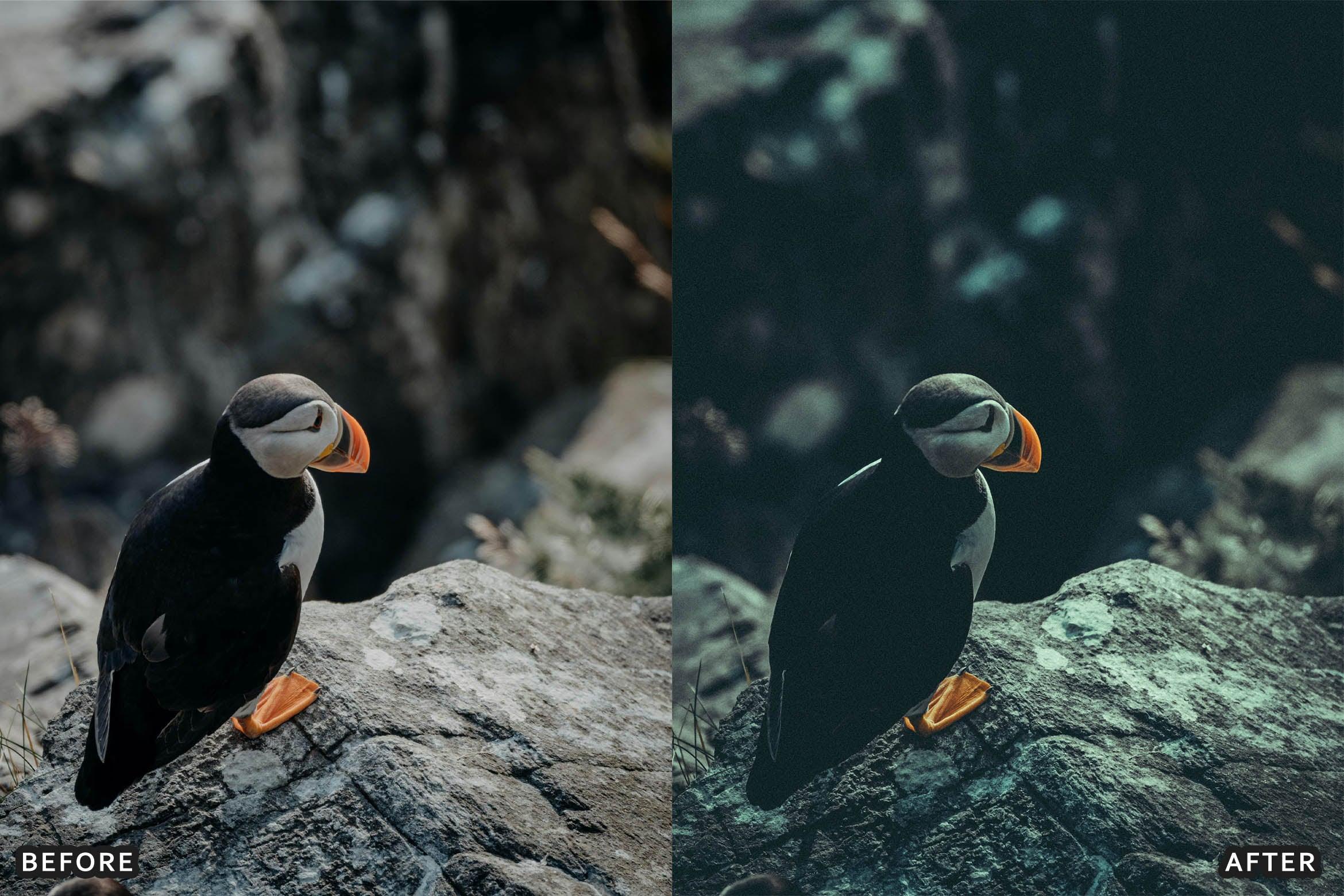 Bird Photography Wildlife Cinematic Lightroom Presets - Lightroom Presets - by AAA Presets