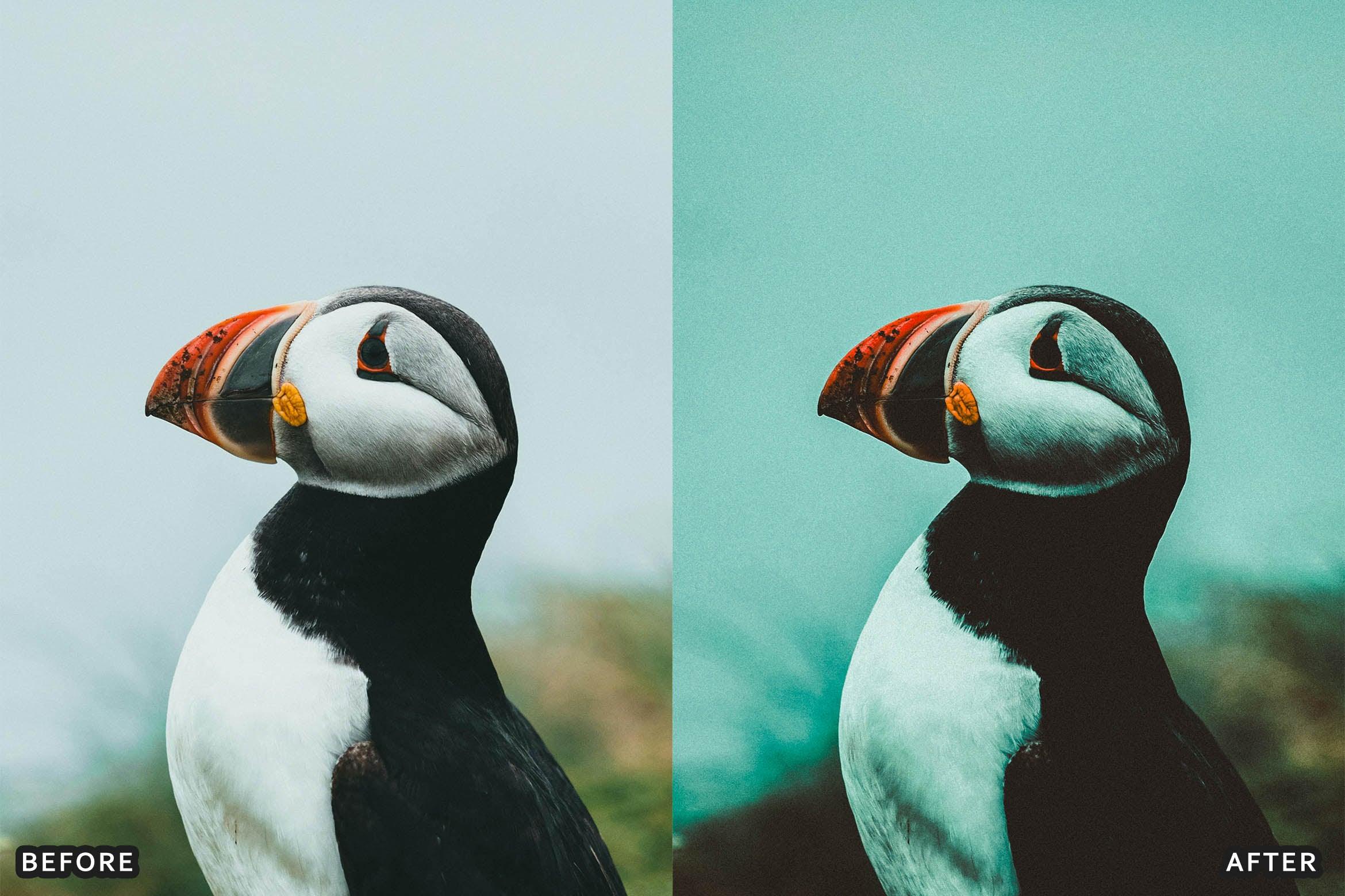 Bird Photography Wildlife Cinematic Lightroom Presets - Lightroom Presets - by AAA Presets