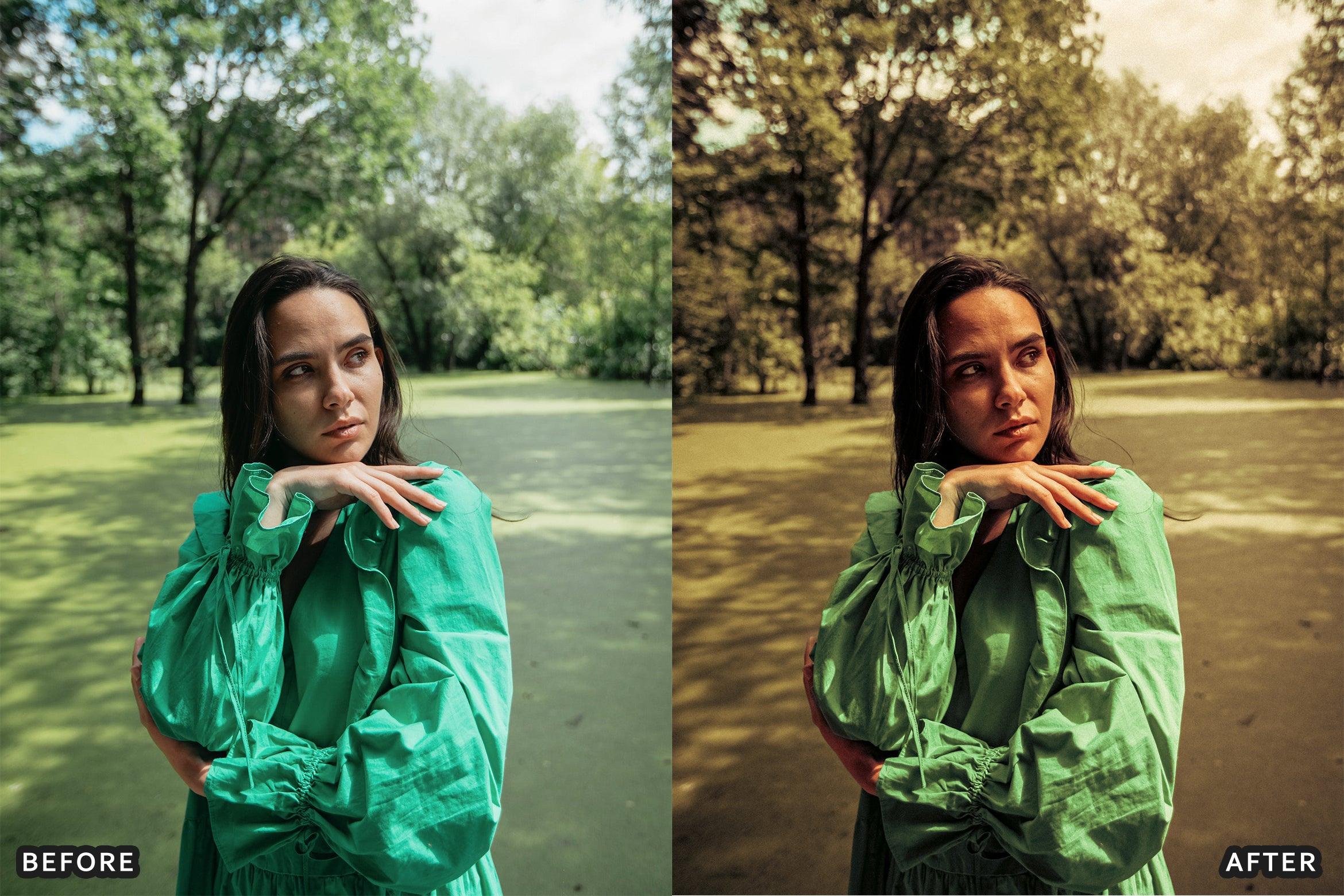 Bohemian Brown Look Instagram Lightroom Presets - Lightroom Presets - by AAA Presets