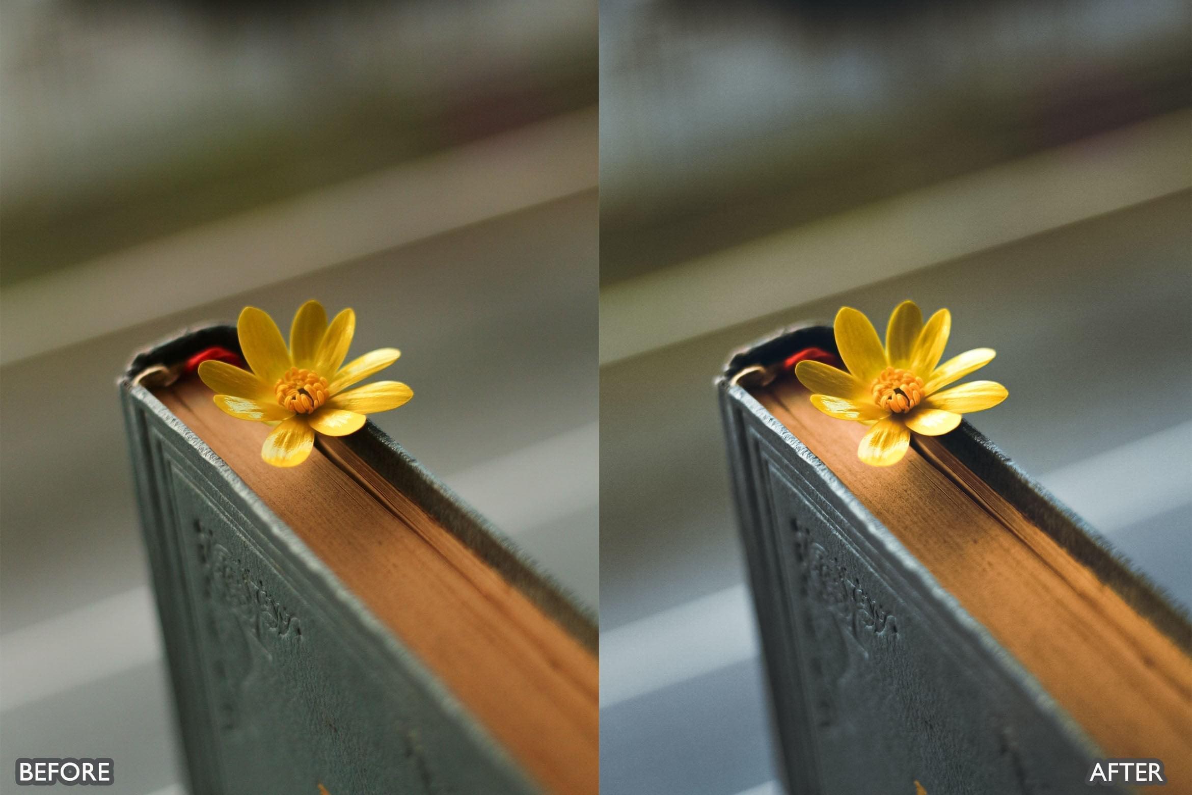 Bright Natural Lightroom Presets - Lightroom Presets - by AAA Presets